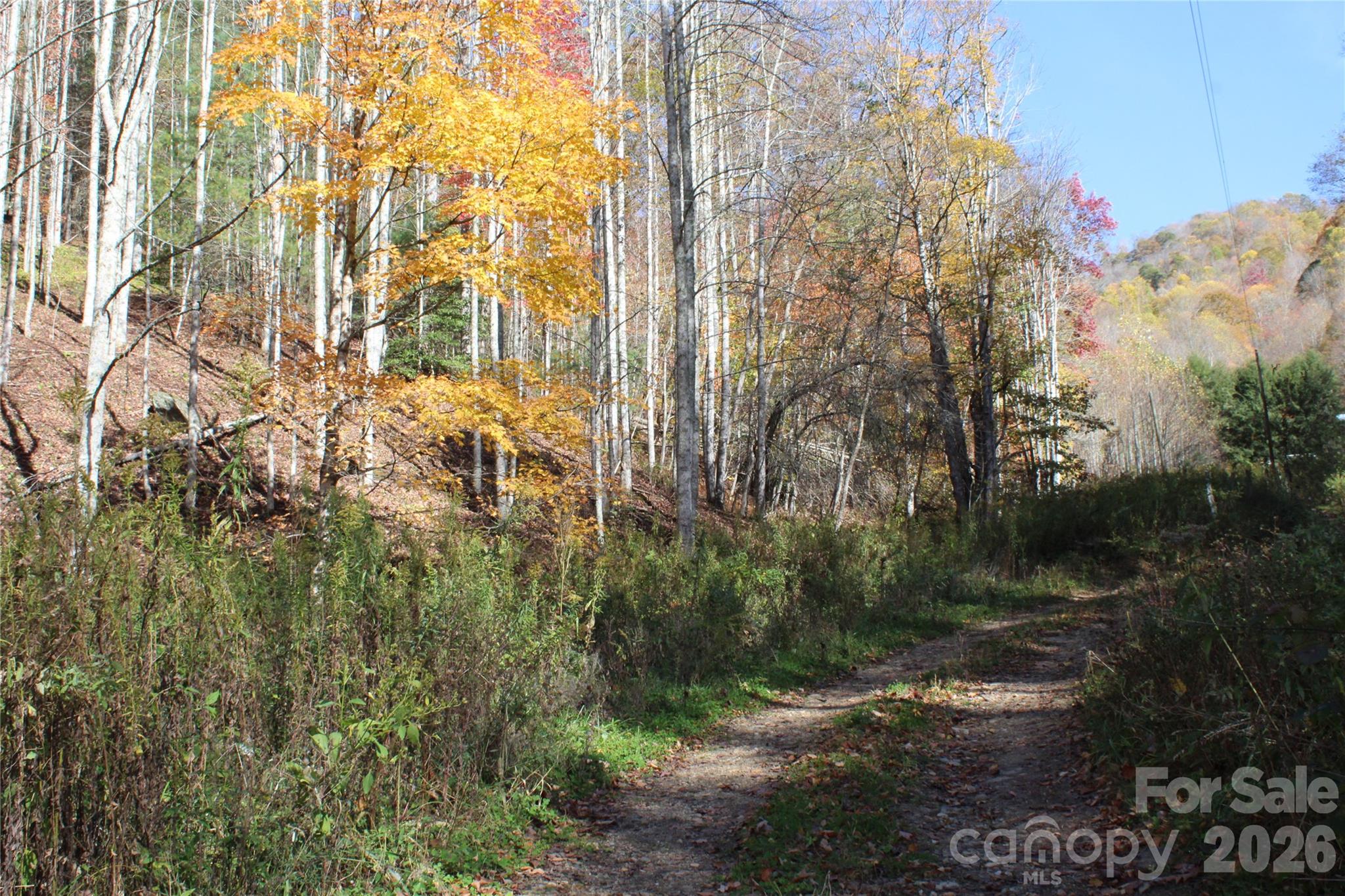 Acreage at 44 Toms Creek Road, Bakersville, photo 5 of 18