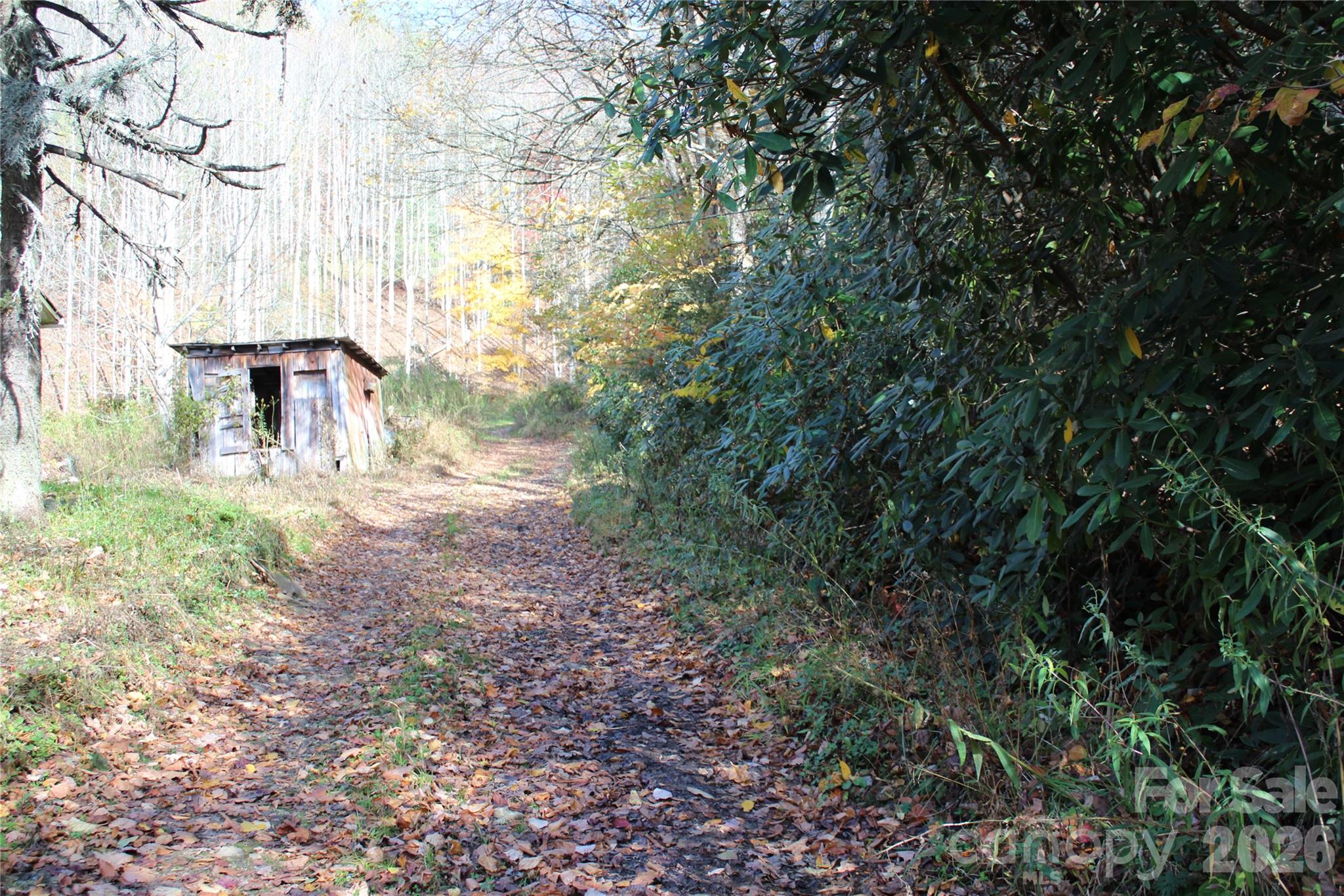 44 Toms Creek Road