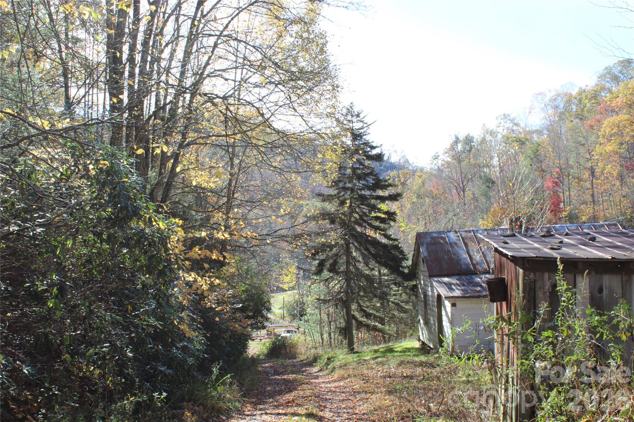 Acreage at 44 Toms Creek Road, Bakersville, photo 3 of 18