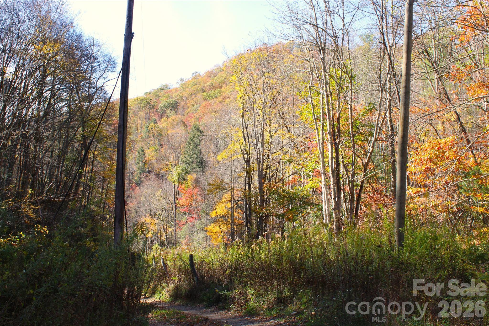 Acreage at 44 Toms Creek Road, Bakersville, photo 18 of 18