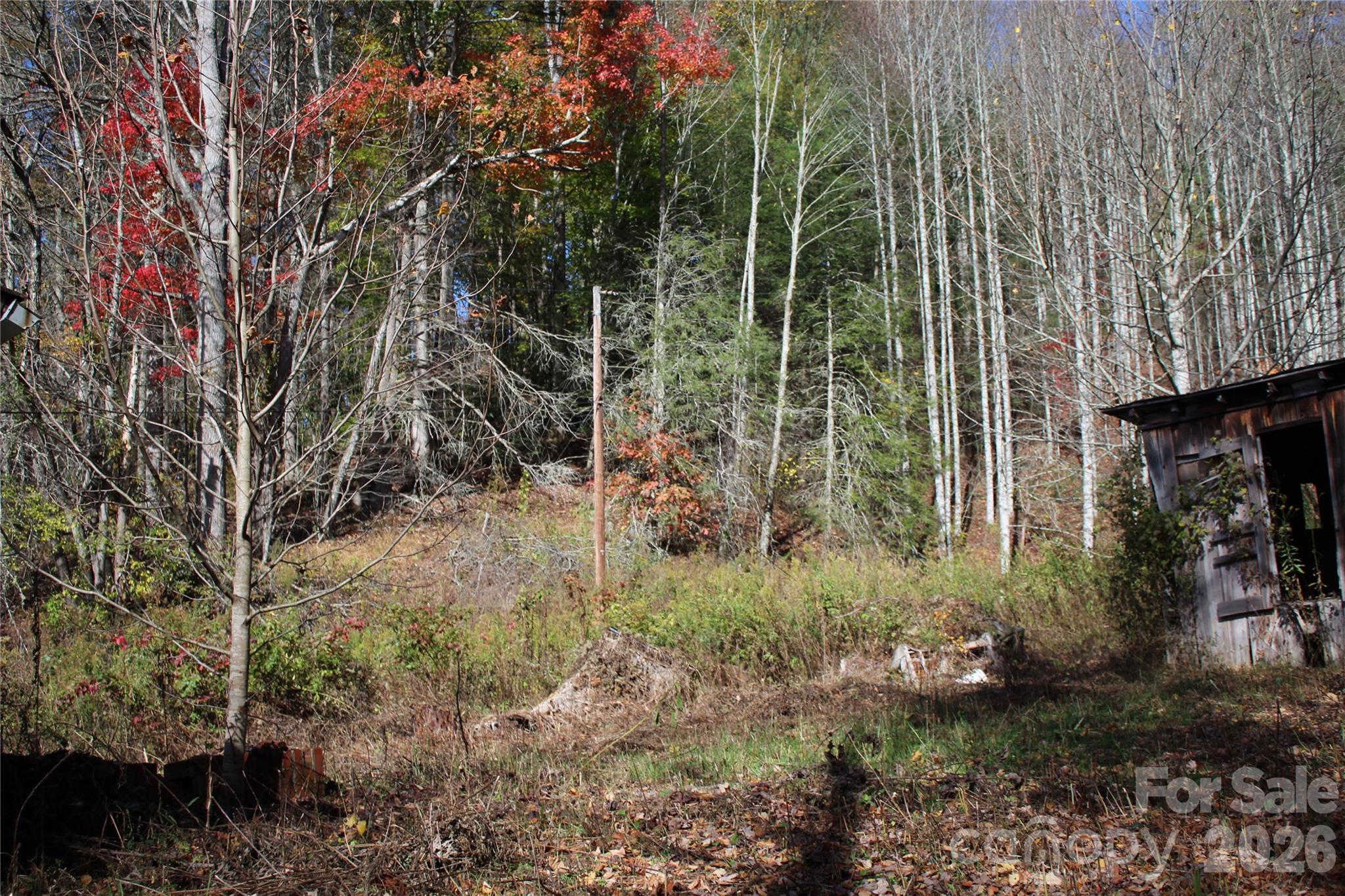 Acreage at 44 Toms Creek Road, Bakersville, photo 2 of 18