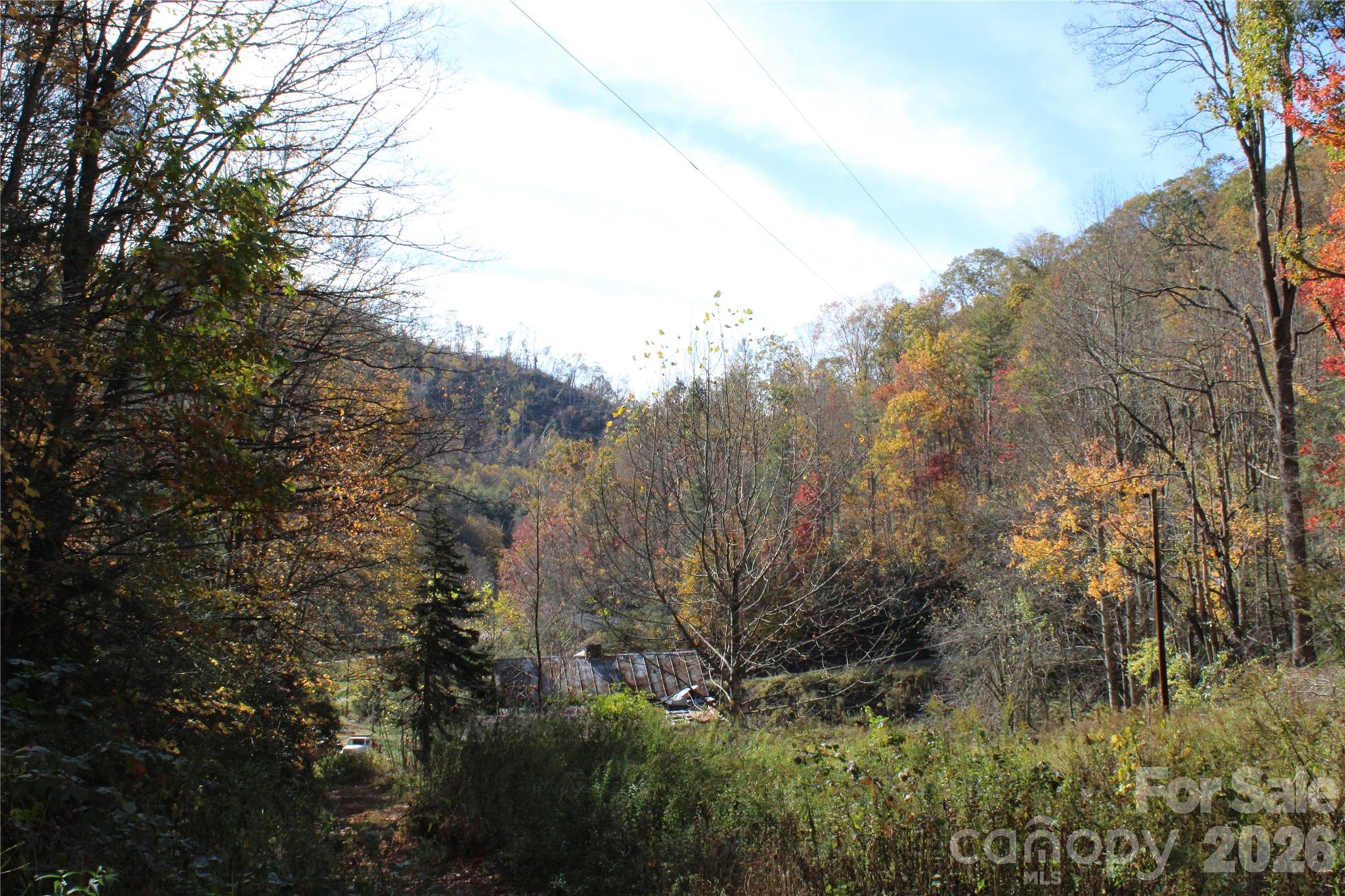 Acreage at 44 Toms Creek Road, Bakersville, photo 8 of 18