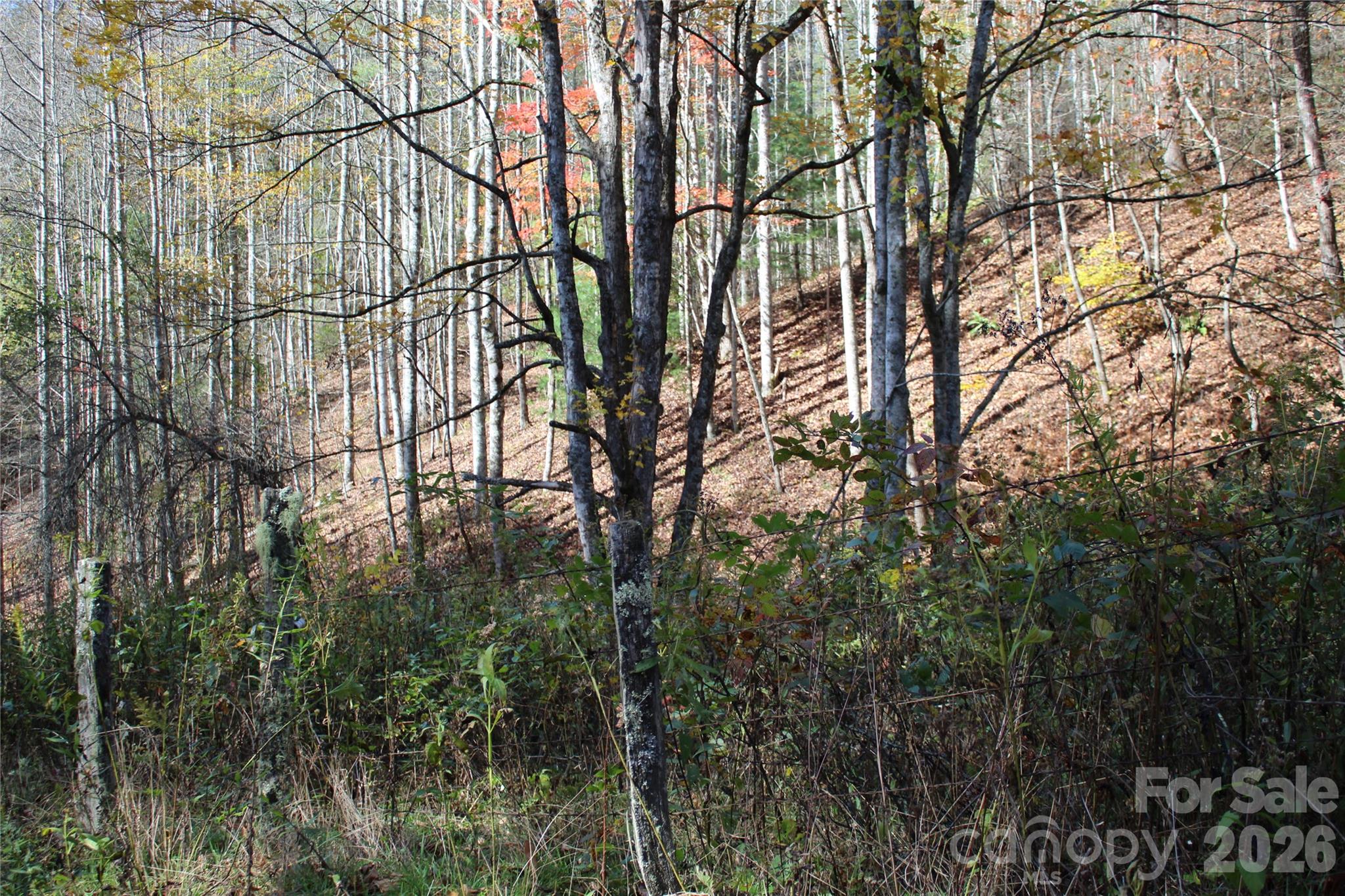 Acreage at 44 Toms Creek Road, Bakersville, photo 9 of 18