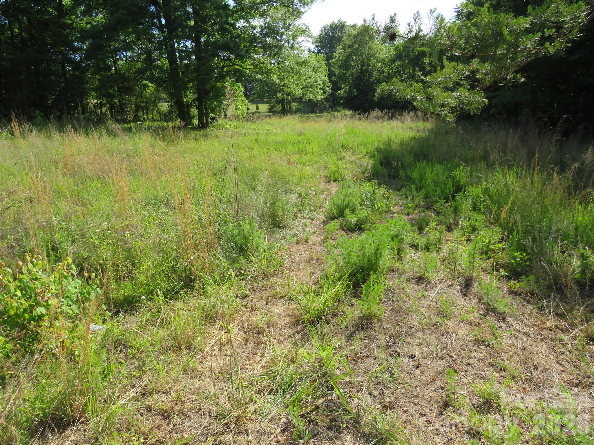 Acreage at 0 Blue Sapphire Lane, Rutherfordton, photo 2 of 25
