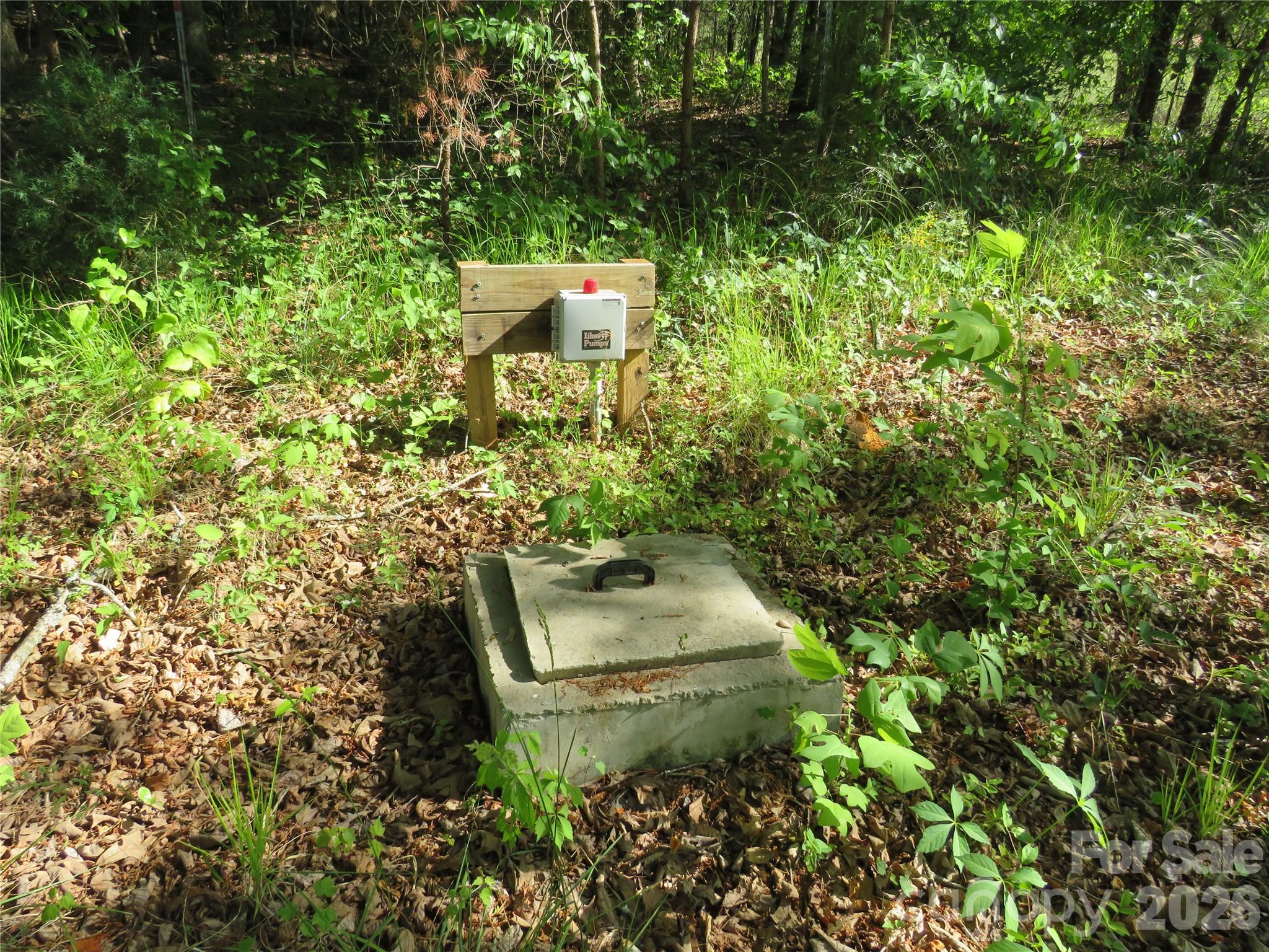 Septic Installed - 0 Blue Sapphire Lane, Rutherfordton
