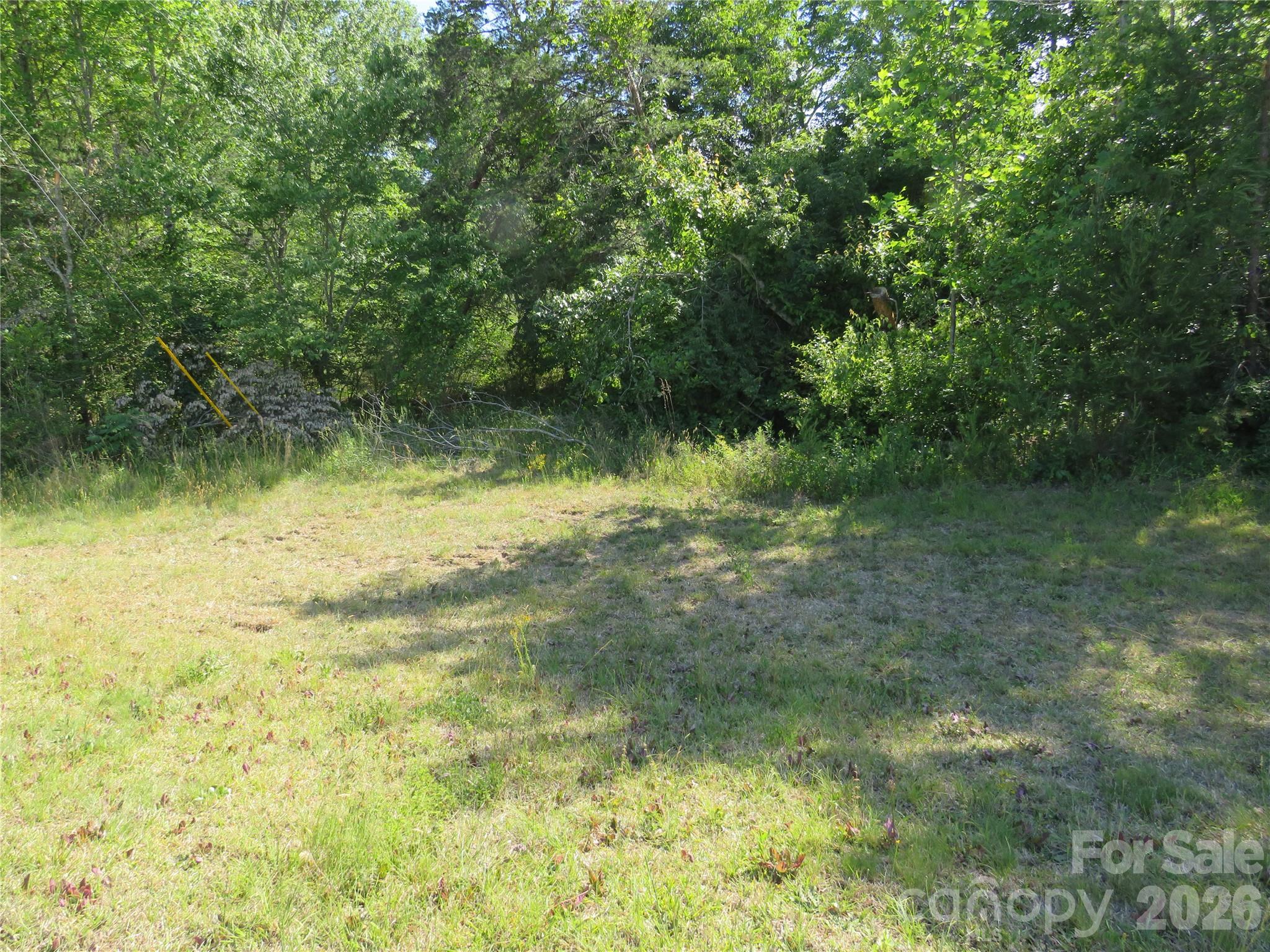 Acreage at 0 Blue Sapphire Lane, Rutherfordton, photo 5 of 25