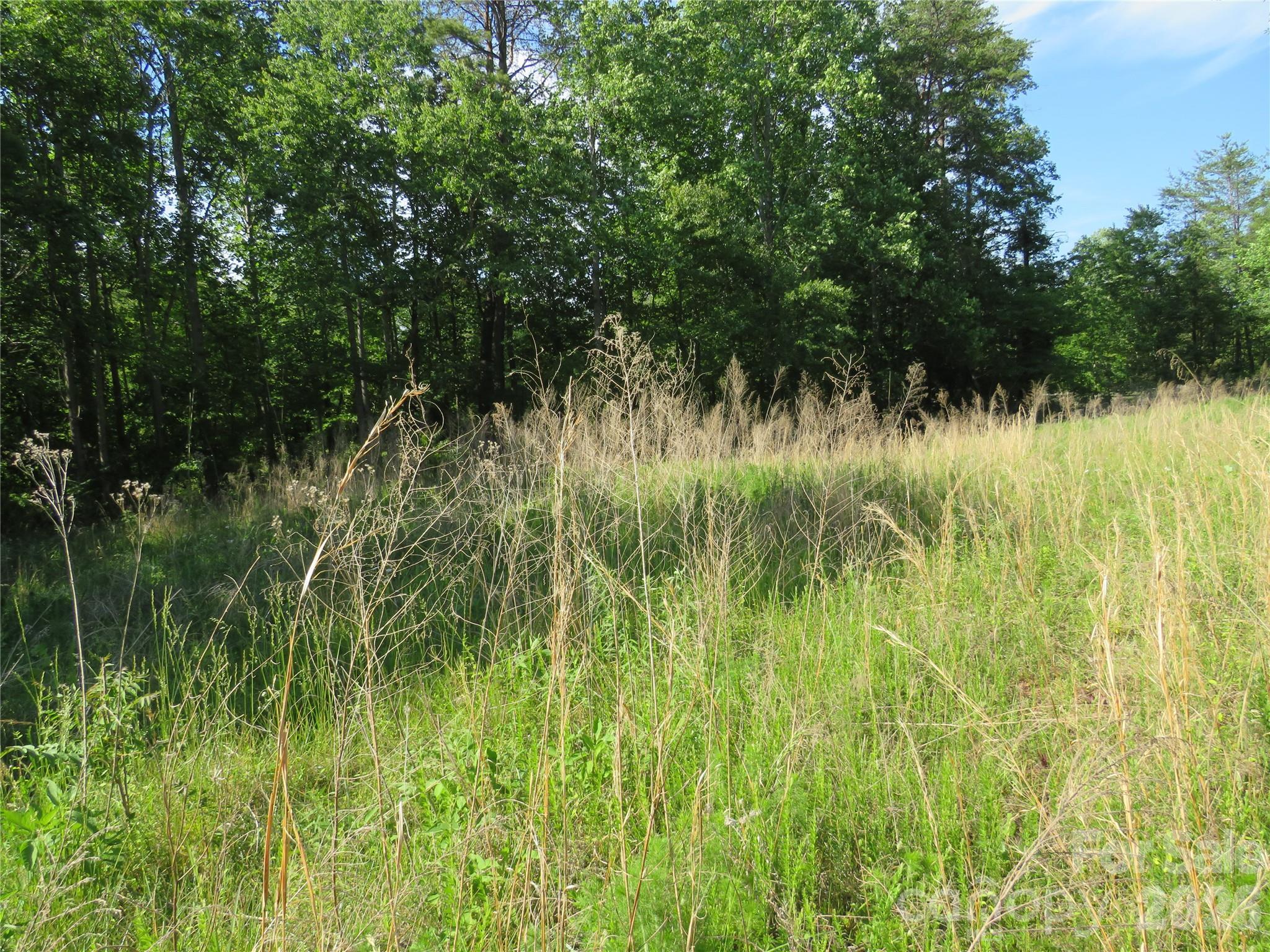 Acreage at 0 Blue Sapphire Lane, Rutherfordton, photo 7 of 25
