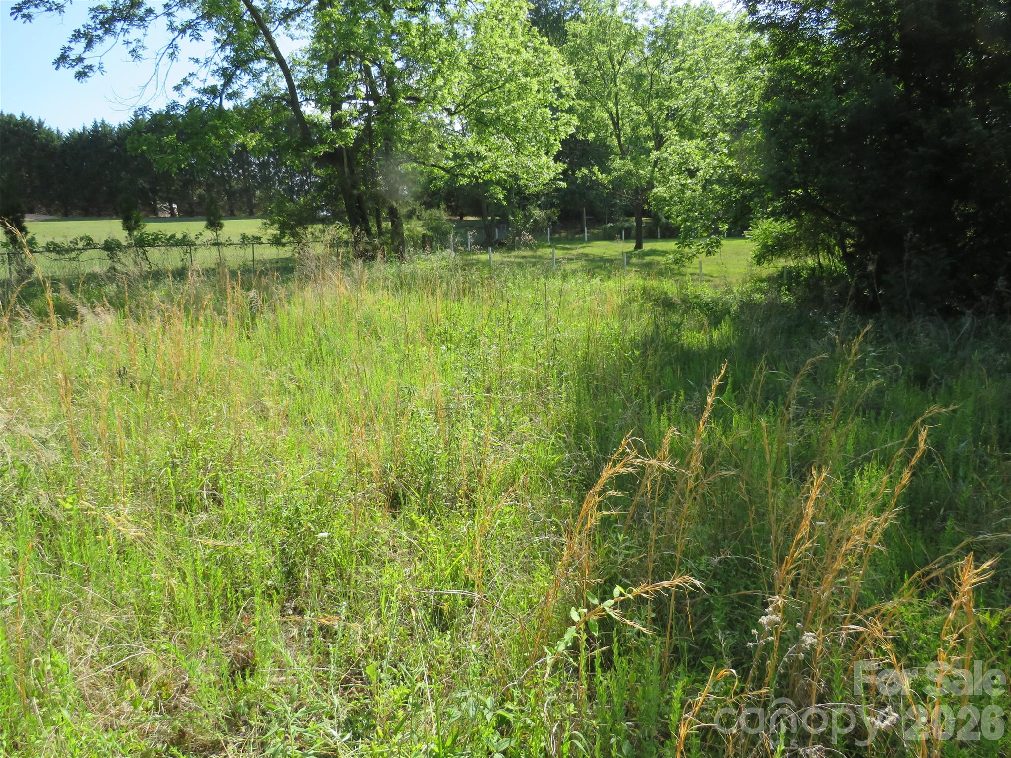 Acreage at 0 Blue Sapphire Lane, Rutherfordton, photo 8 of 25