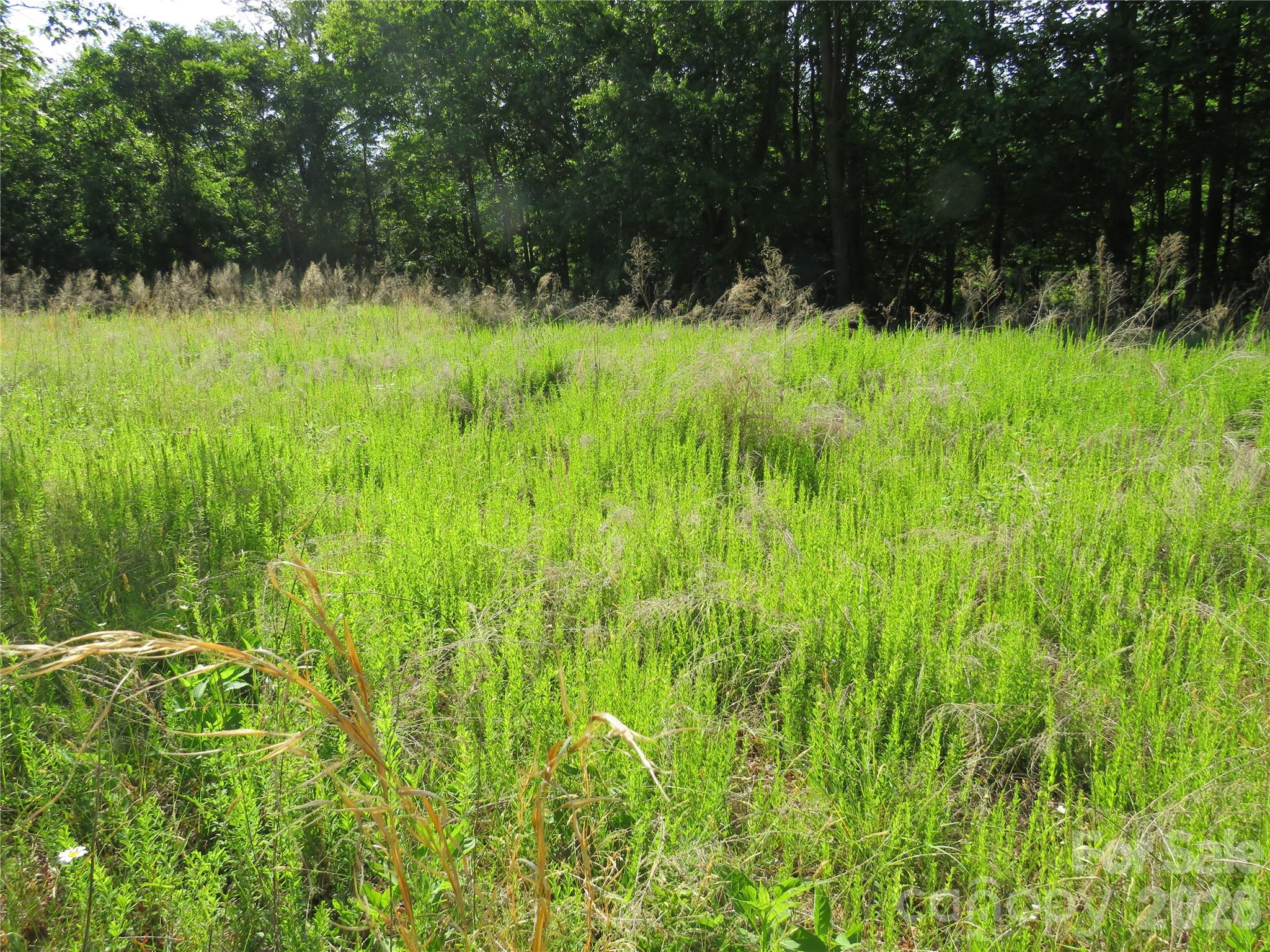 Acreage at 0 Blue Sapphire Lane, Rutherfordton, photo 9 of 25