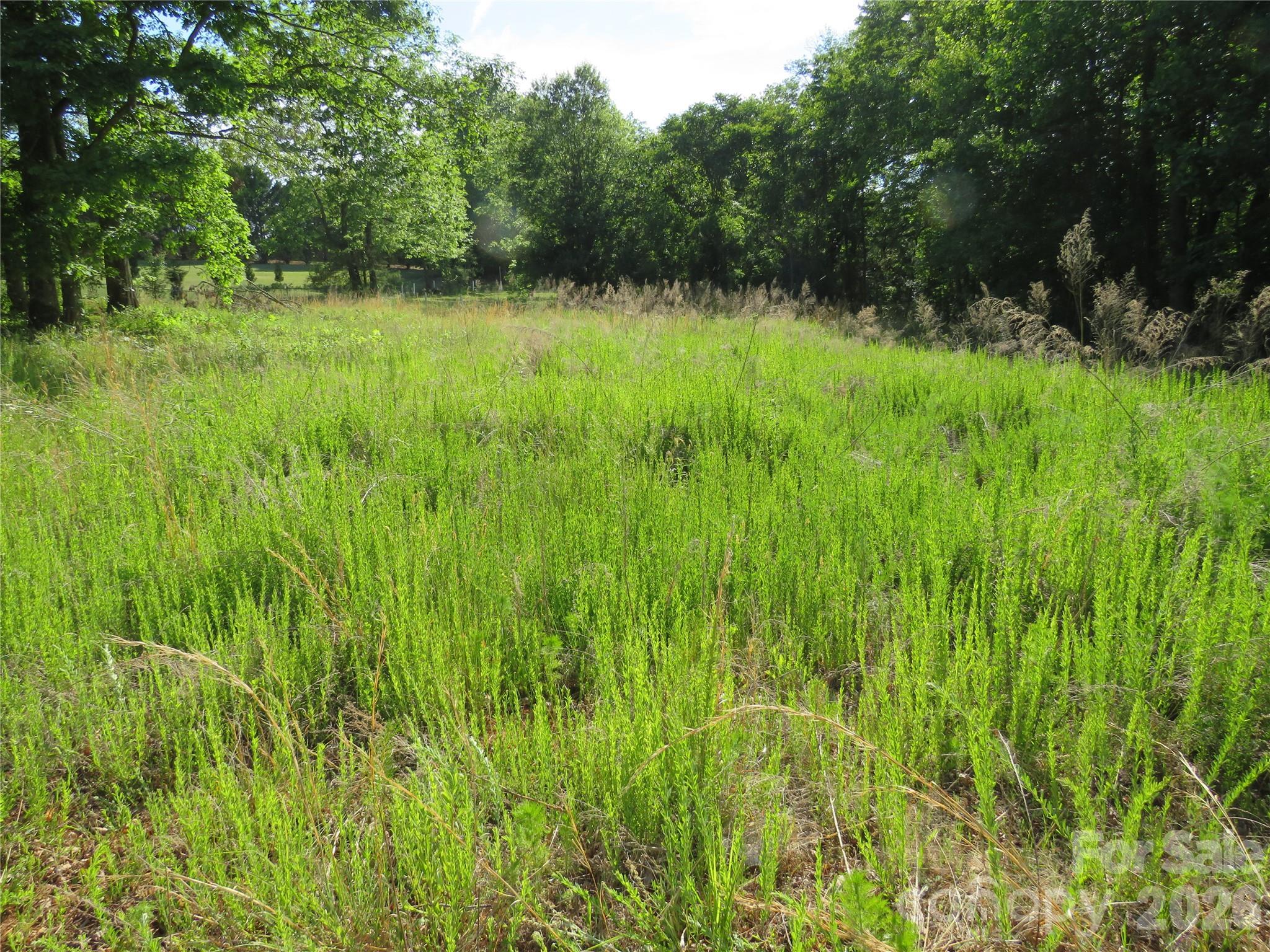 Acreage at 0 Blue Sapphire Lane, Rutherfordton, photo 3 of 25