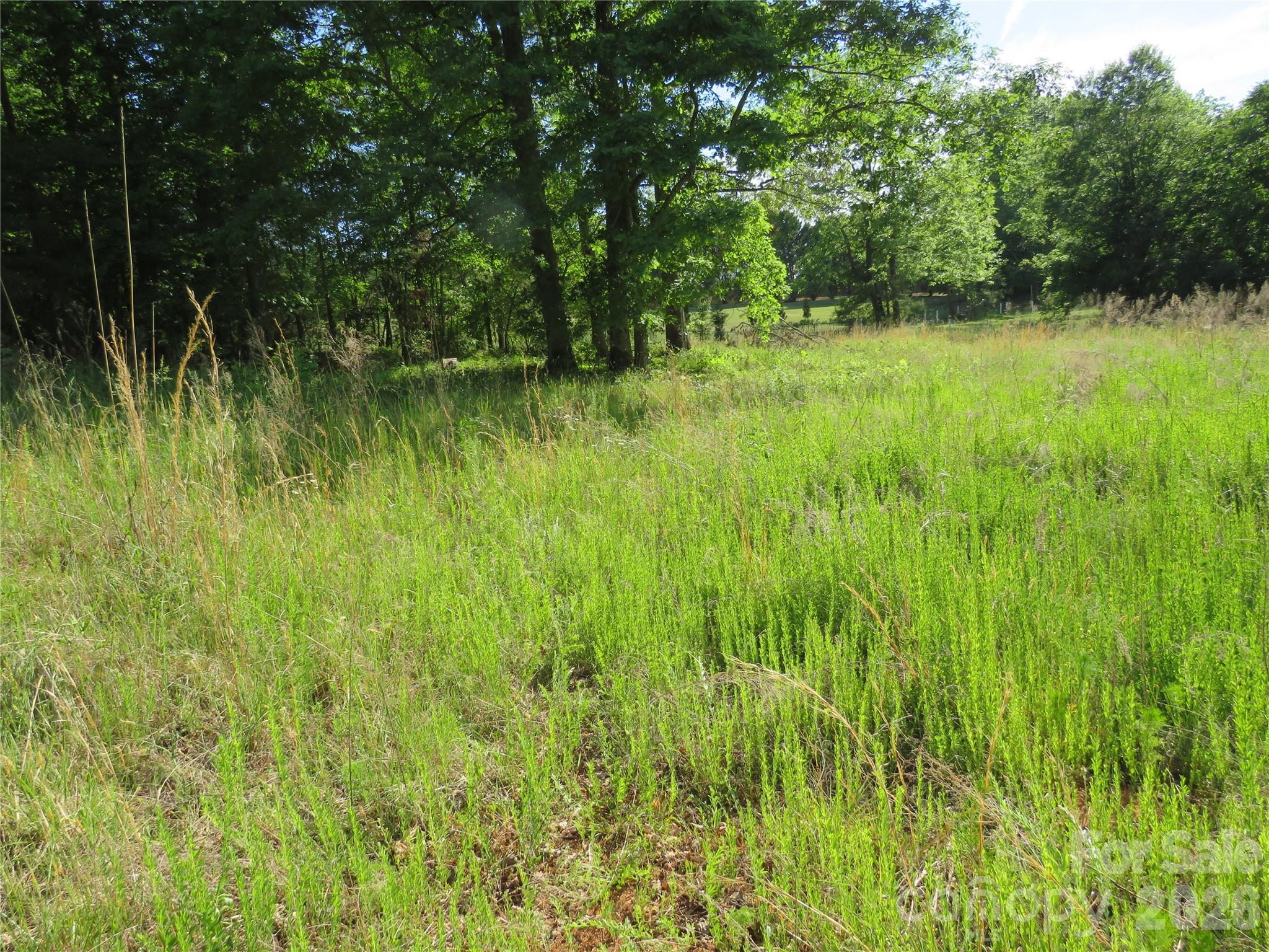 Acreage at 0 Blue Sapphire Lane, Rutherfordton, photo 11 of 25