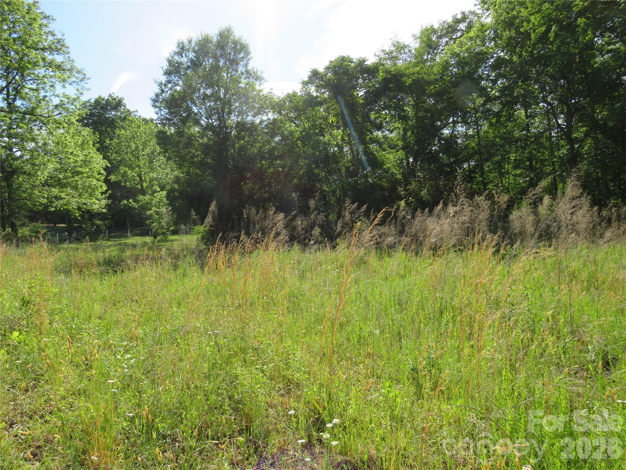 Acreage at 0 Blue Sapphire Lane, Rutherfordton, photo 12 of 25