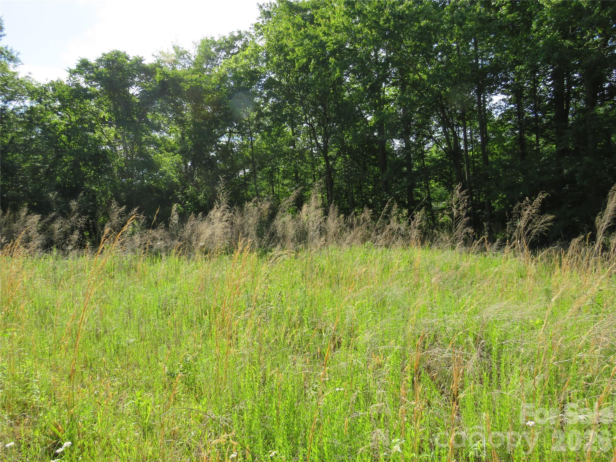 Acreage at 0 Blue Sapphire Lane, Rutherfordton, photo 13 of 25