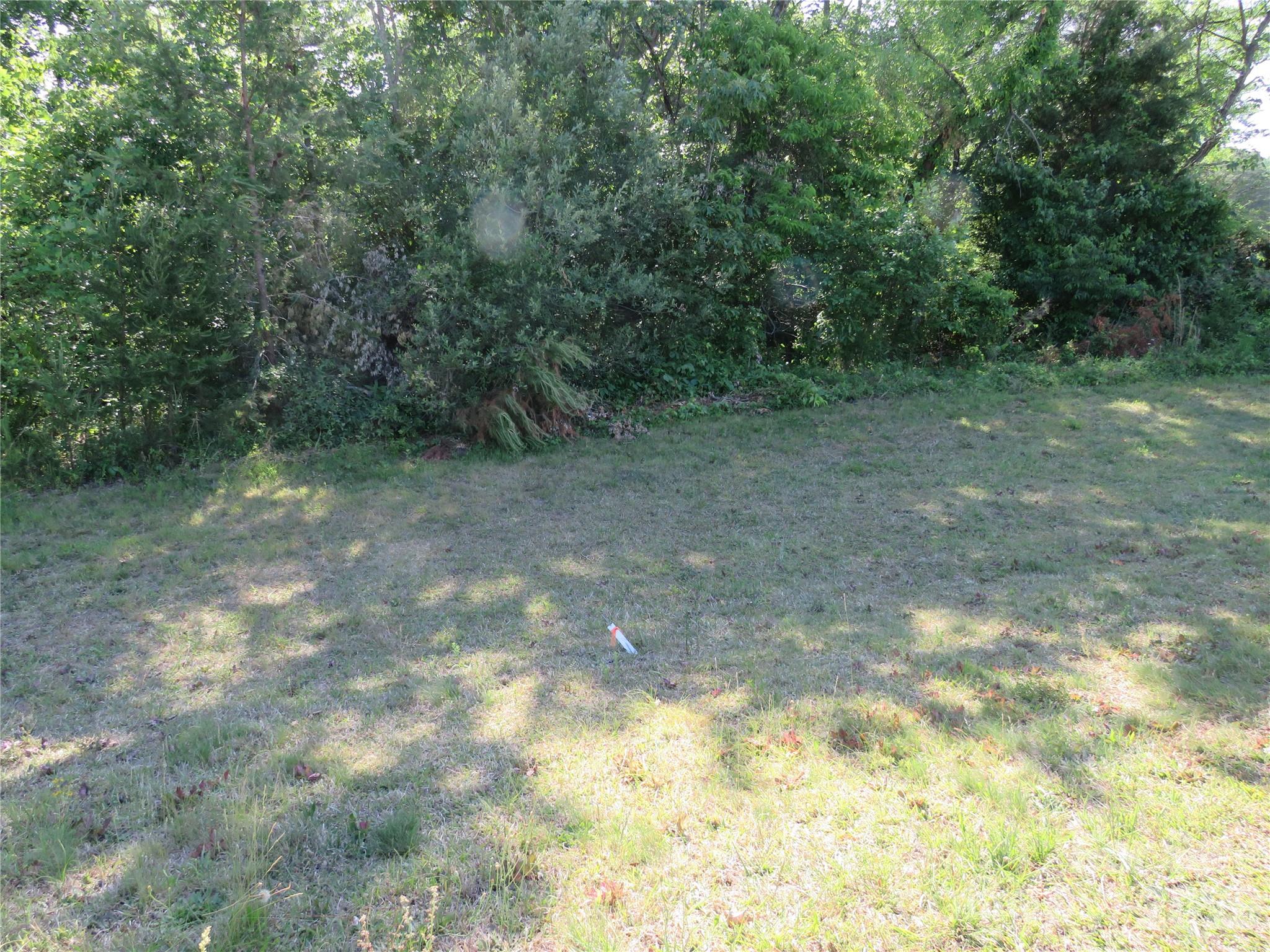 Acreage at 0 Blue Sapphire Lane, Rutherfordton, photo 15 of 25
