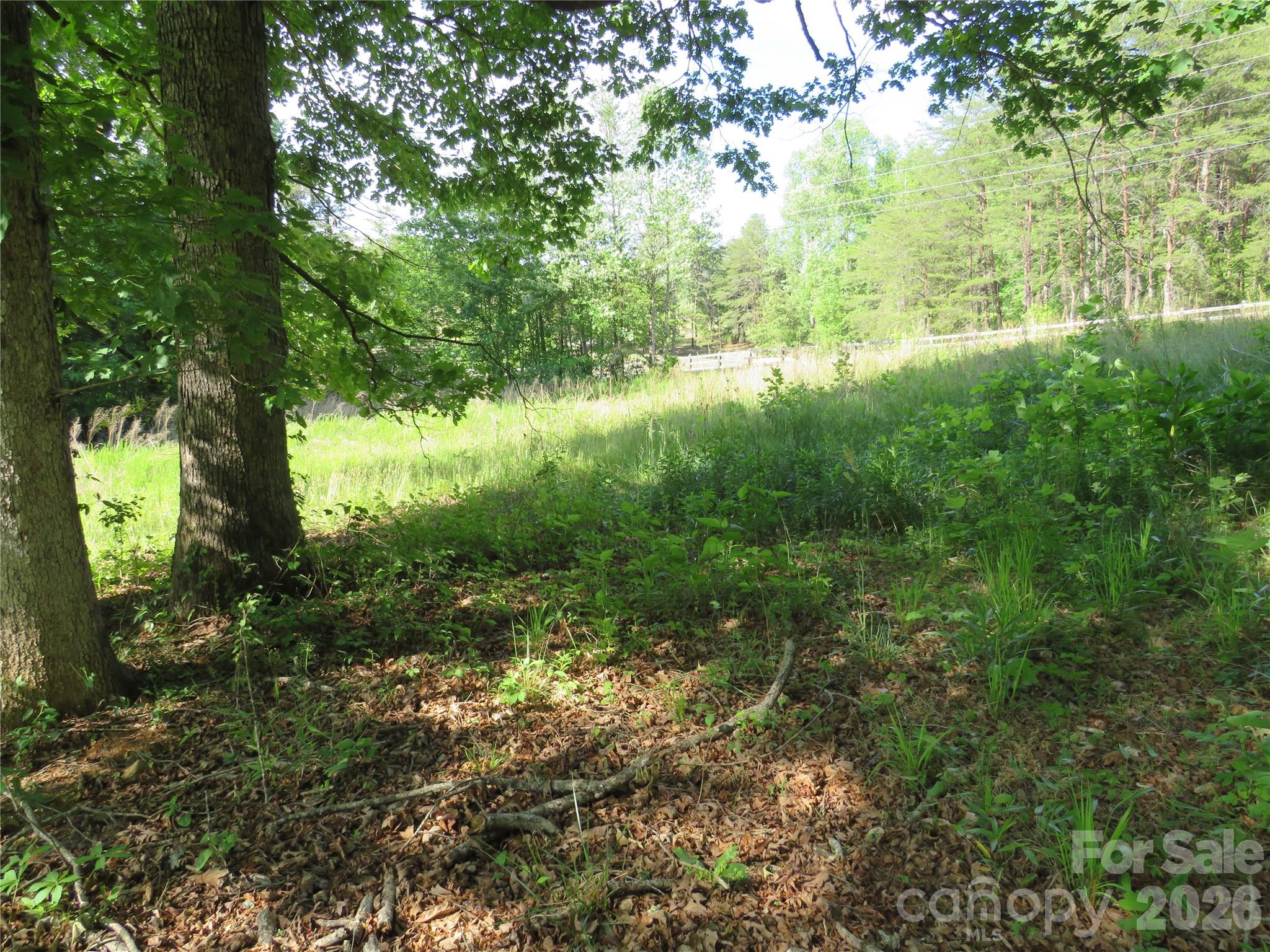 Acreage at 0 Blue Sapphire Lane, Rutherfordton, photo 16 of 25