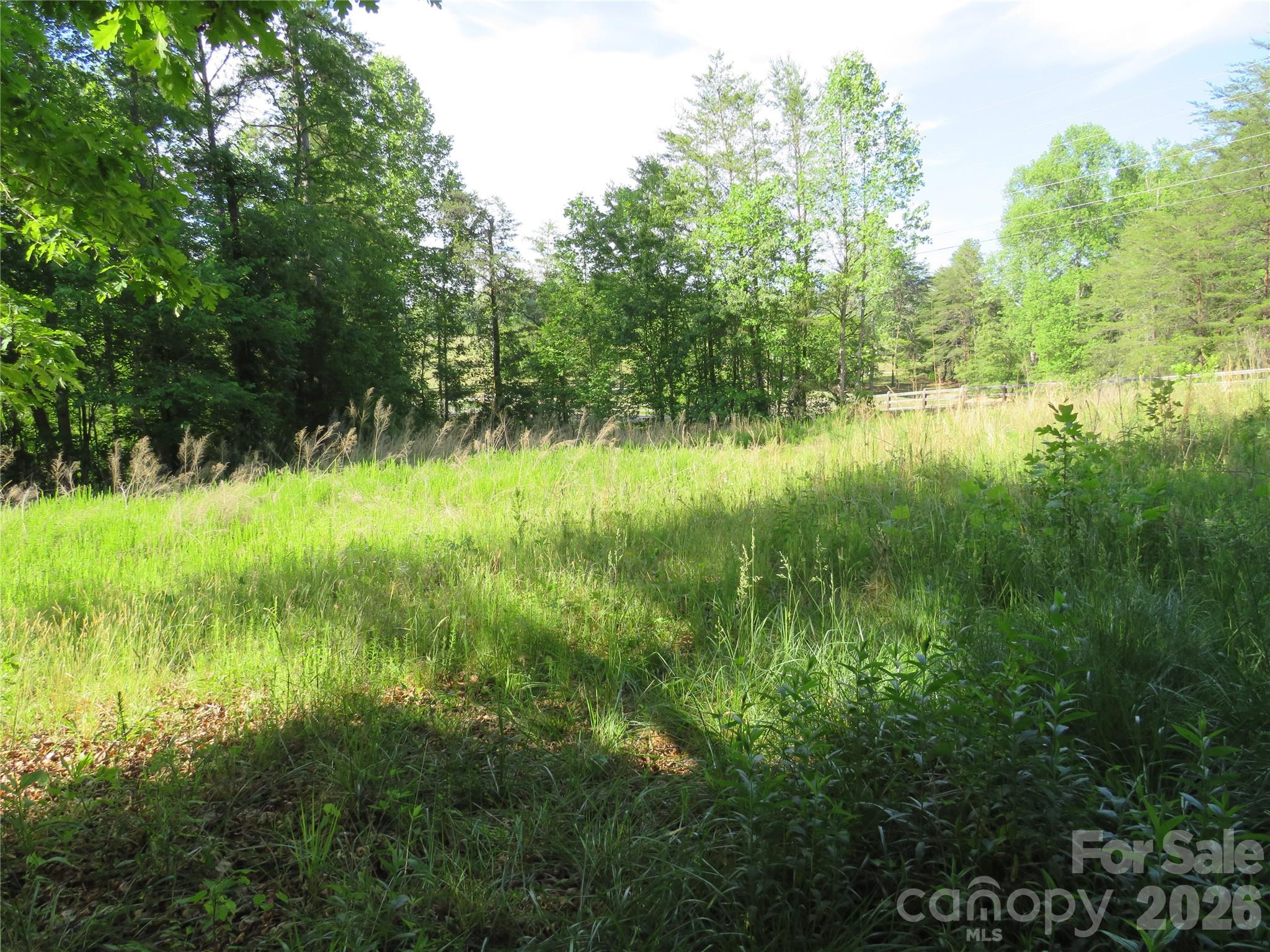 Acreage at 0 Blue Sapphire Lane, Rutherfordton, photo 17 of 25