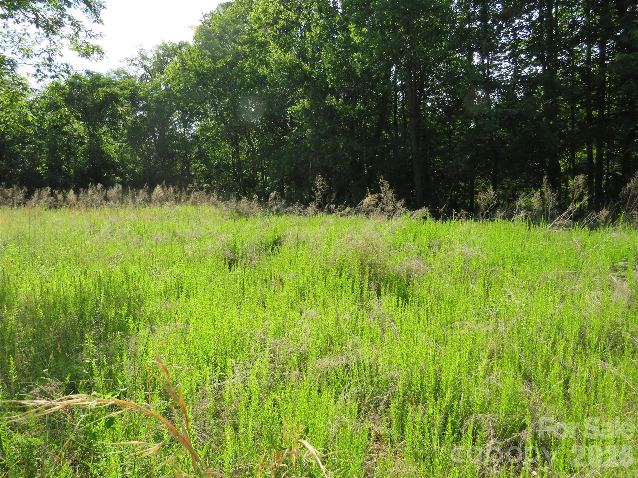 Acreage at 0 Blue Sapphire Lane, Rutherfordton, photo 18 of 25