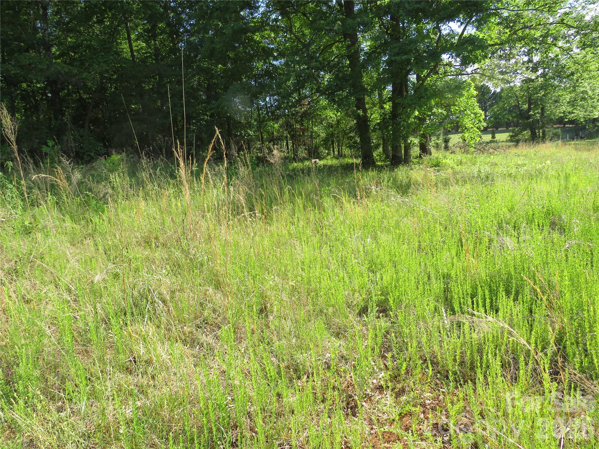 Acreage at 0 Blue Sapphire Lane, Rutherfordton, photo 19 of 25
