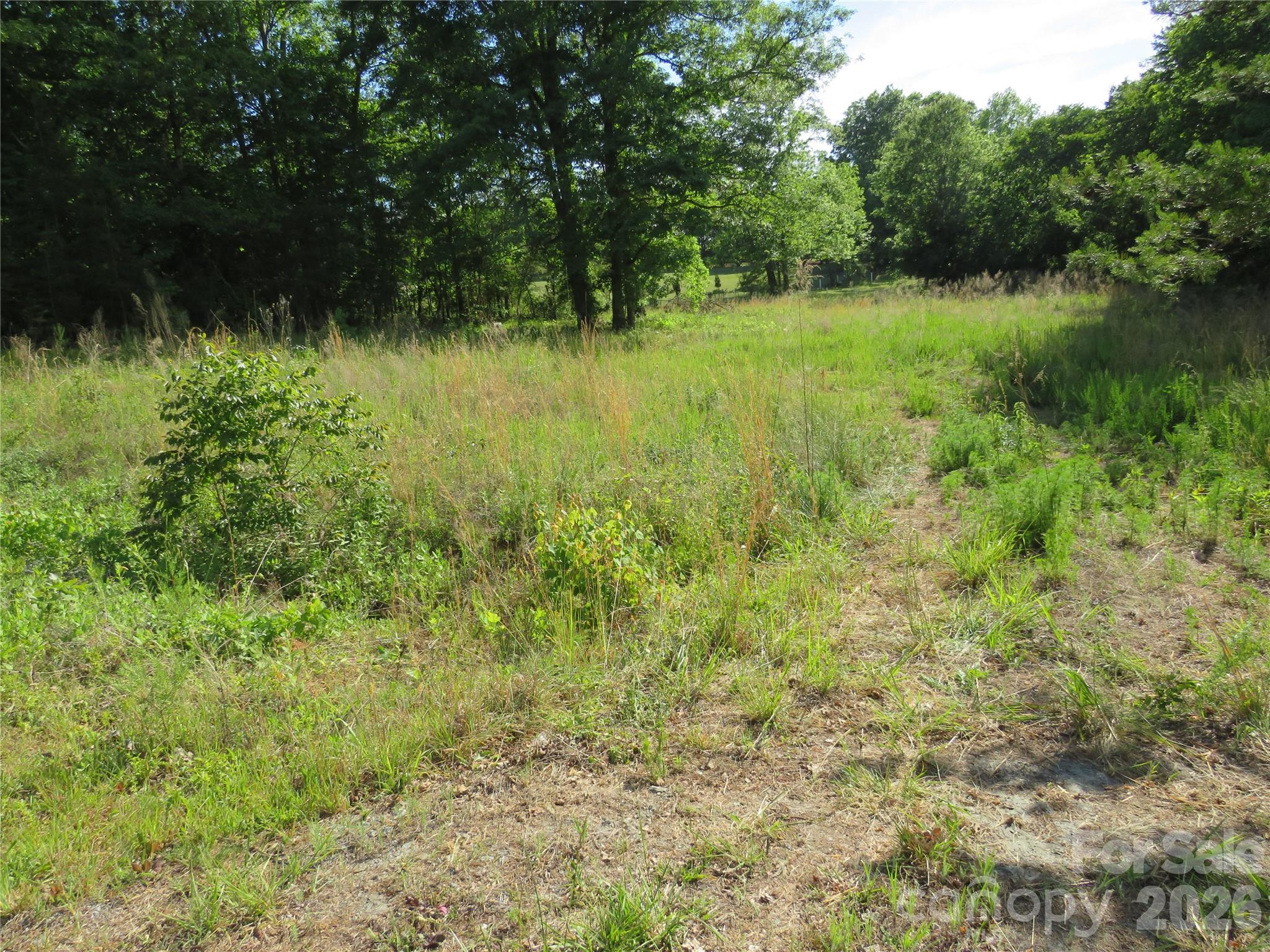 Acreage at 0 Blue Sapphire Lane, Rutherfordton, photo 20 of 25