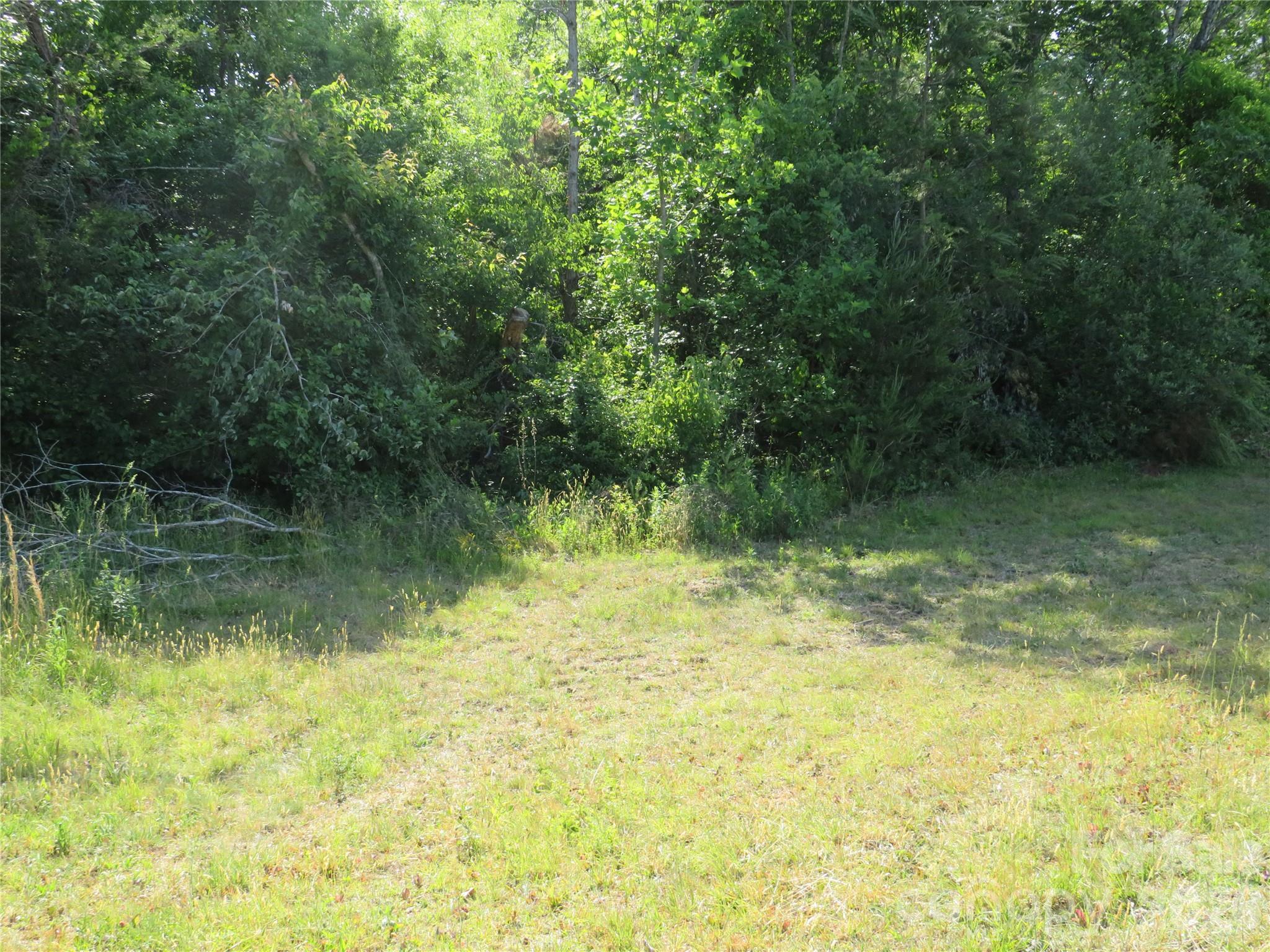 Acreage at 0 Blue Sapphire Lane, Rutherfordton, photo 22 of 25