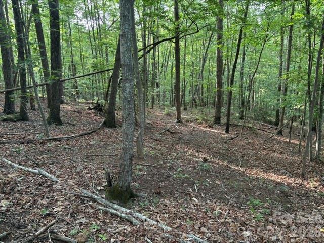 Lot at 00 Cardinal Circle, Tryon, photo 2 of 6