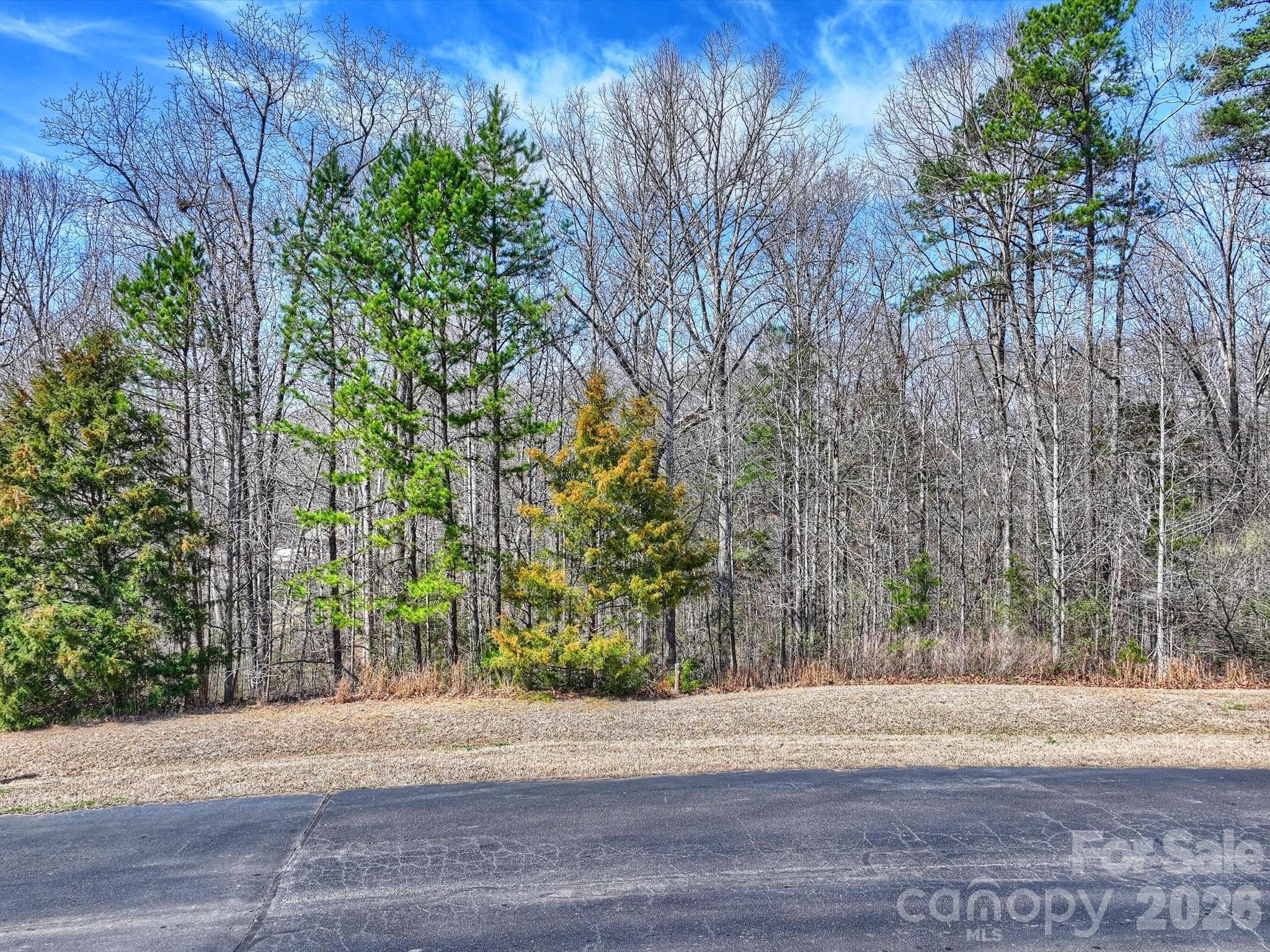 Homesite #14 - .82 acre wooded, private basement lot - 7316 Barrington Ridge Drive, Fort Mill