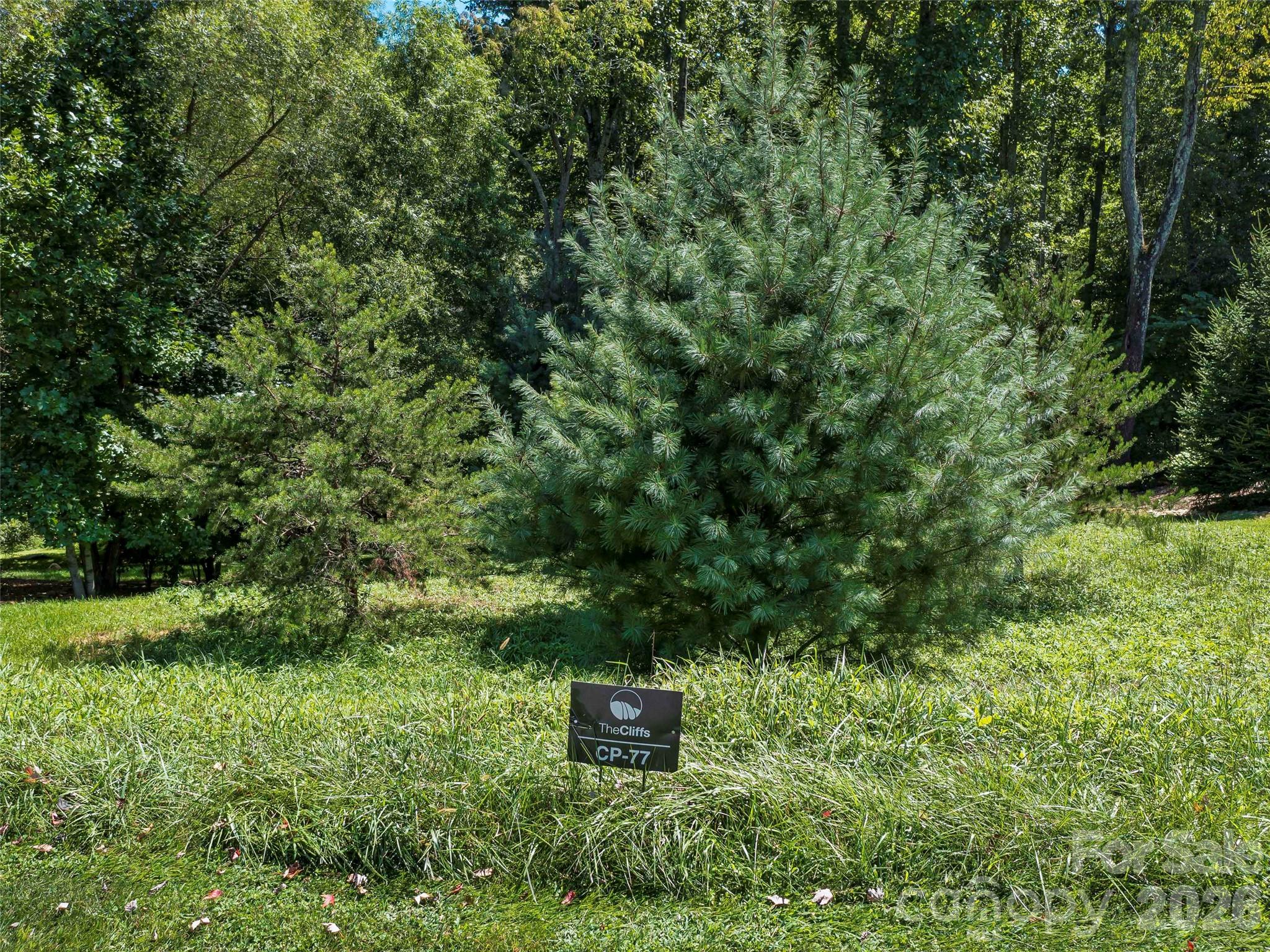 Lot at 19 Mountain Orchid Way, Arden, photo 2 of 28