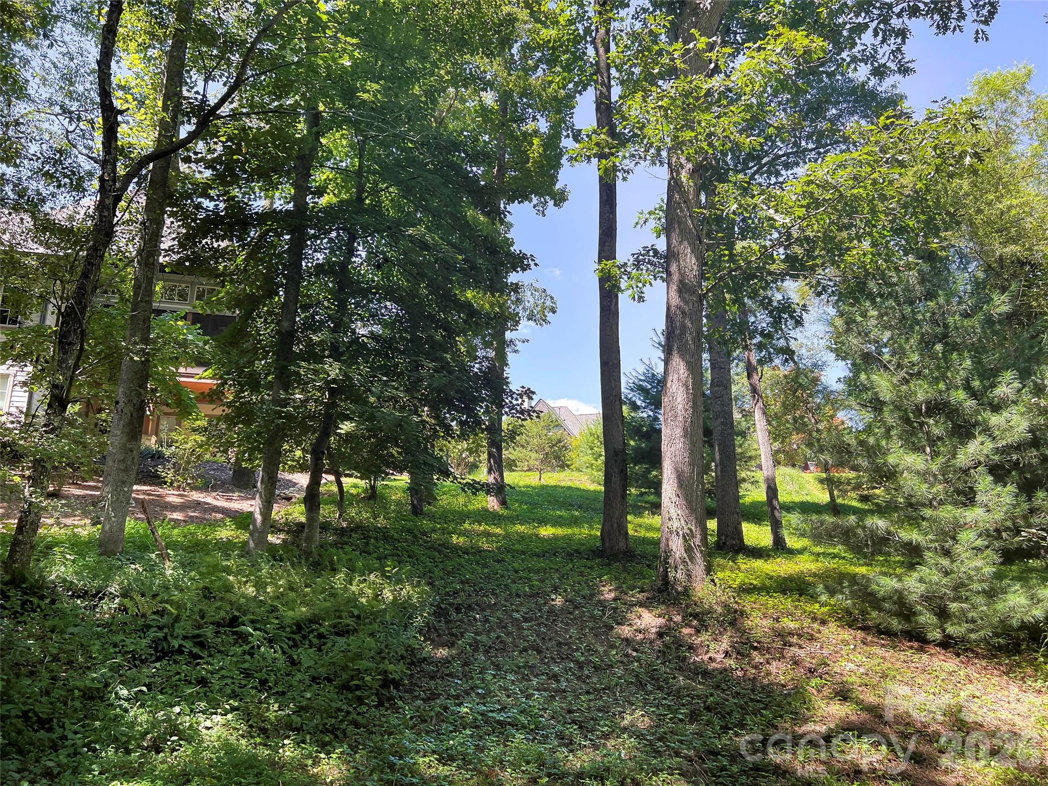 Lot at 19 Mountain Orchid Way, Arden, photo 14 of 28