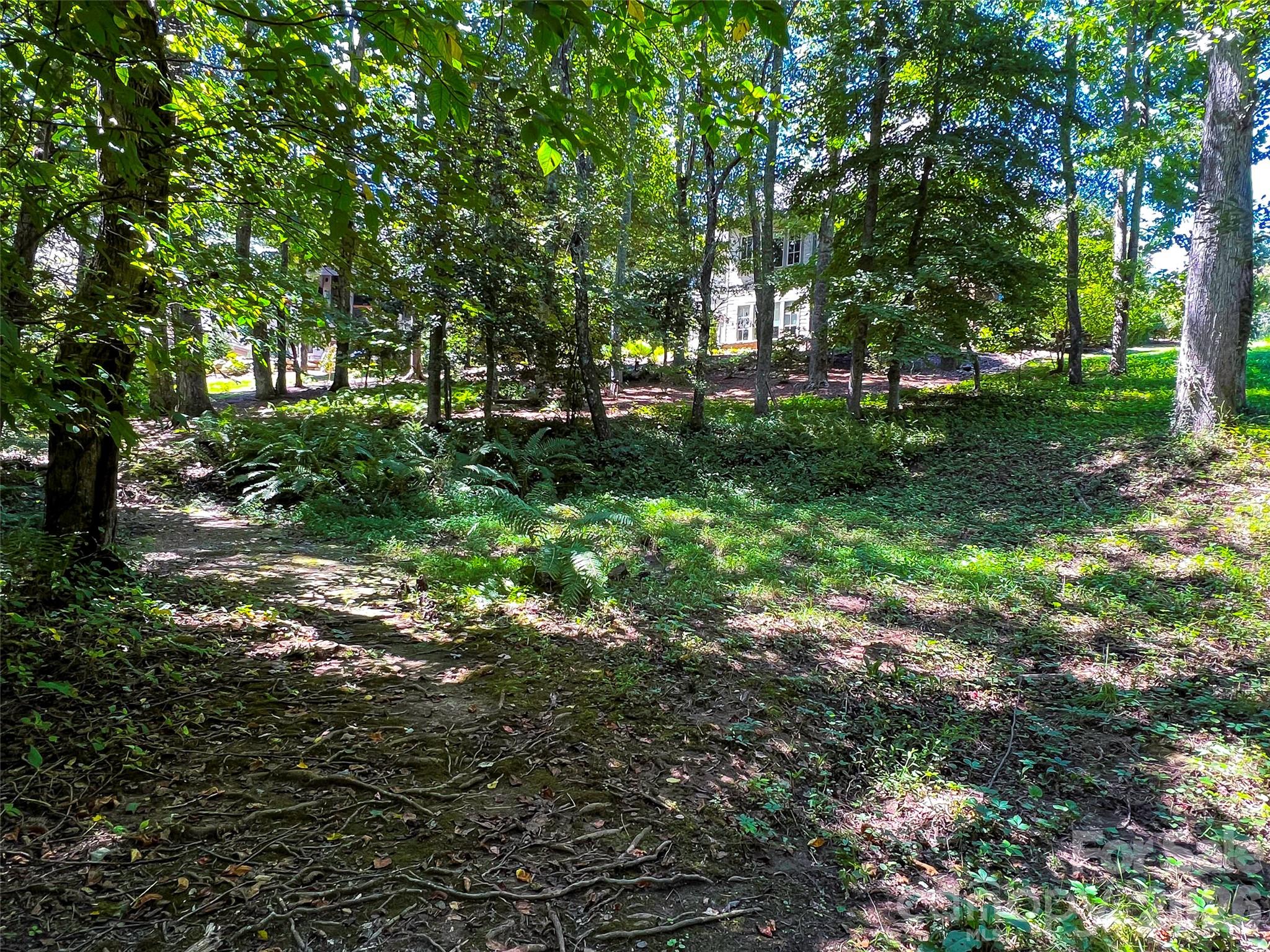 Lot at 19 Mountain Orchid Way, Arden, photo 15 of 28