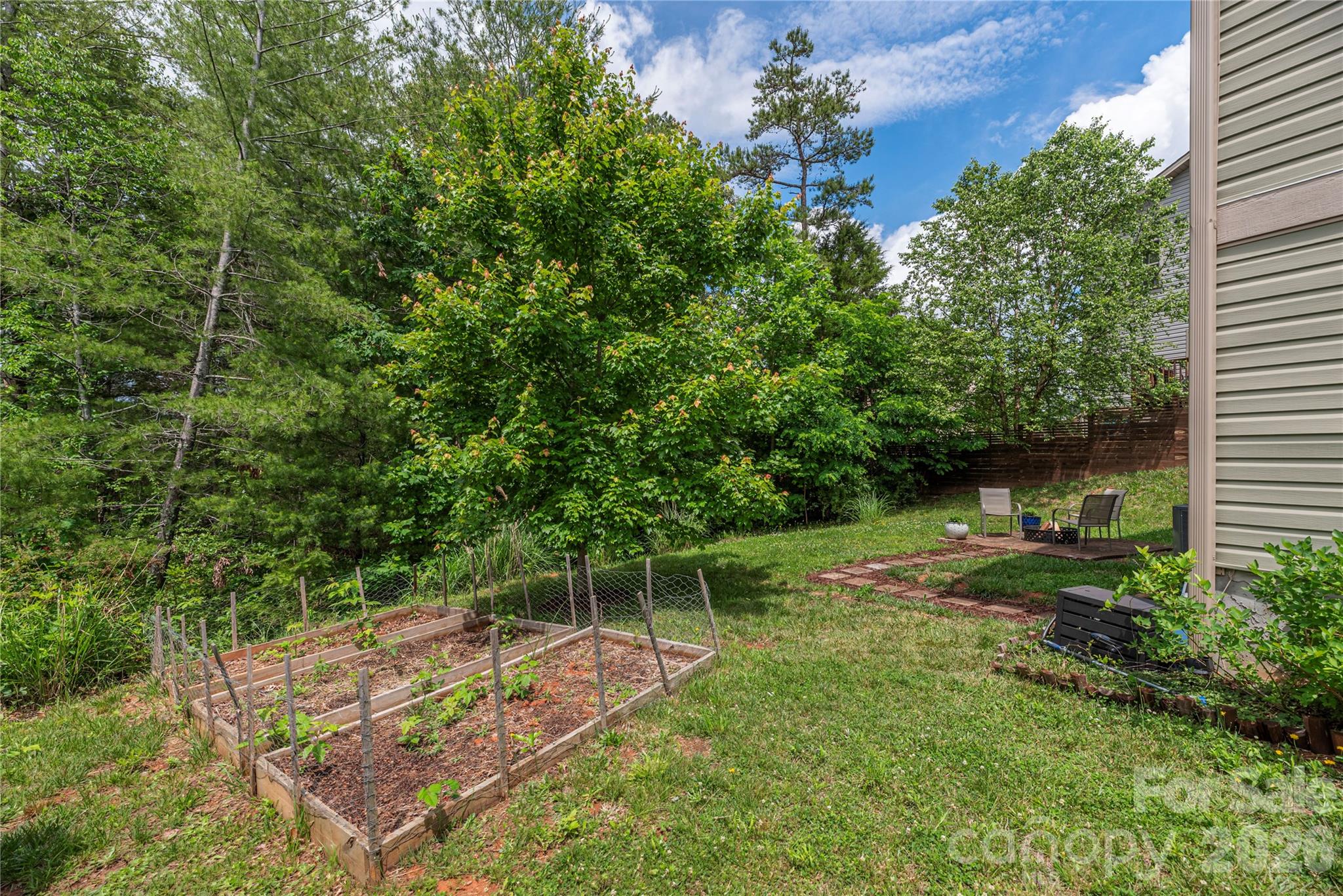 Back Yard and Raised Bed Garden Area - 5 Declan Drive, Weaverville