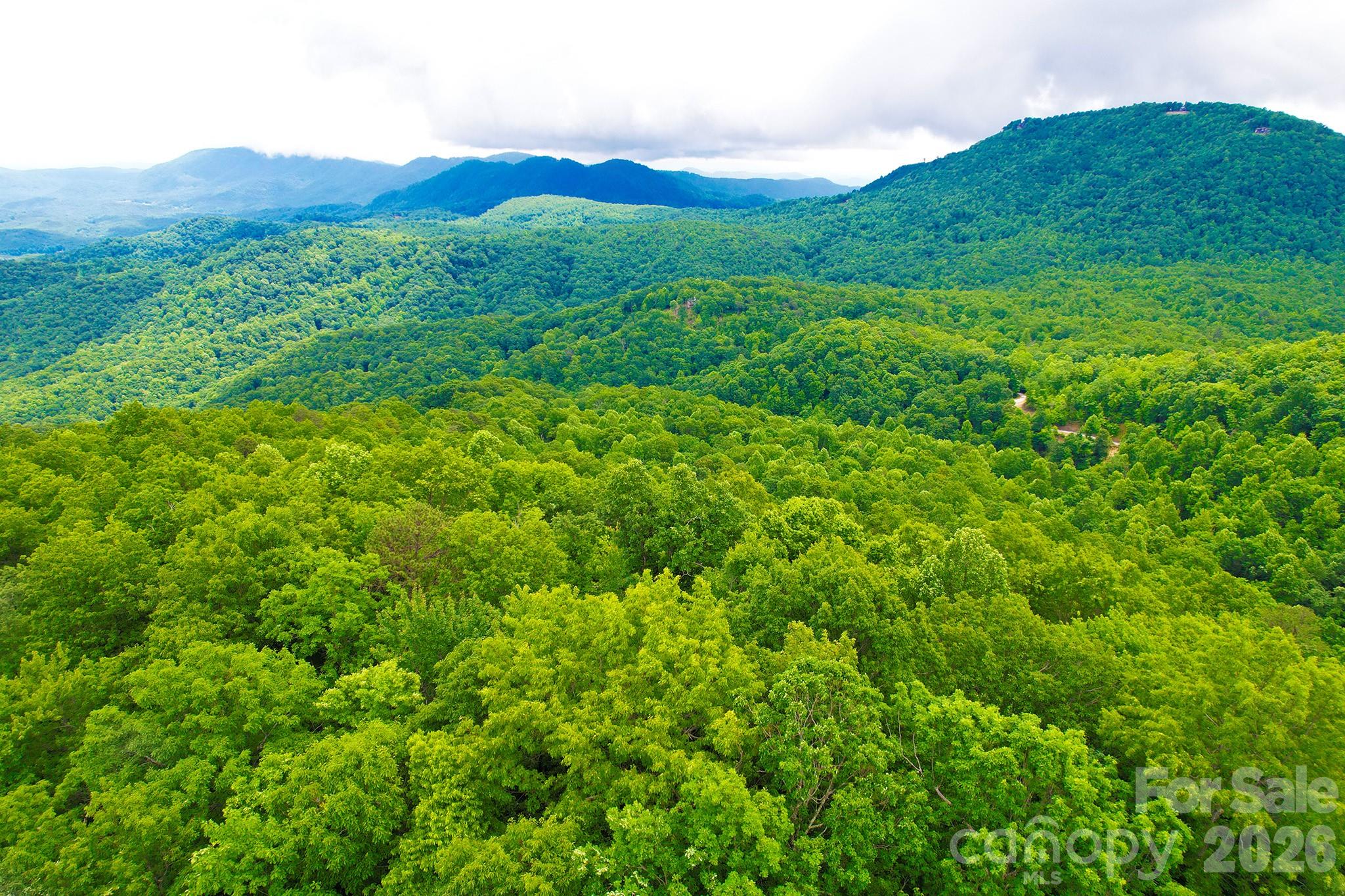 215 Laurel Mountain Trail