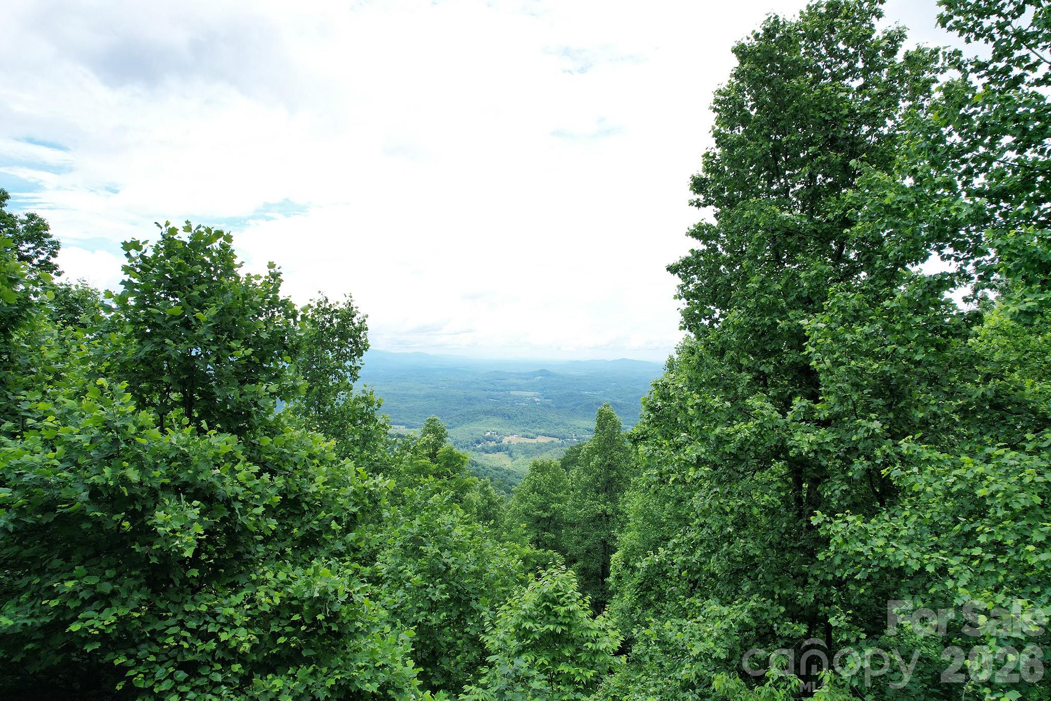 Peeking through the trees on a cloudy day - 215 Laurel Mountain Trail, Black Mountain