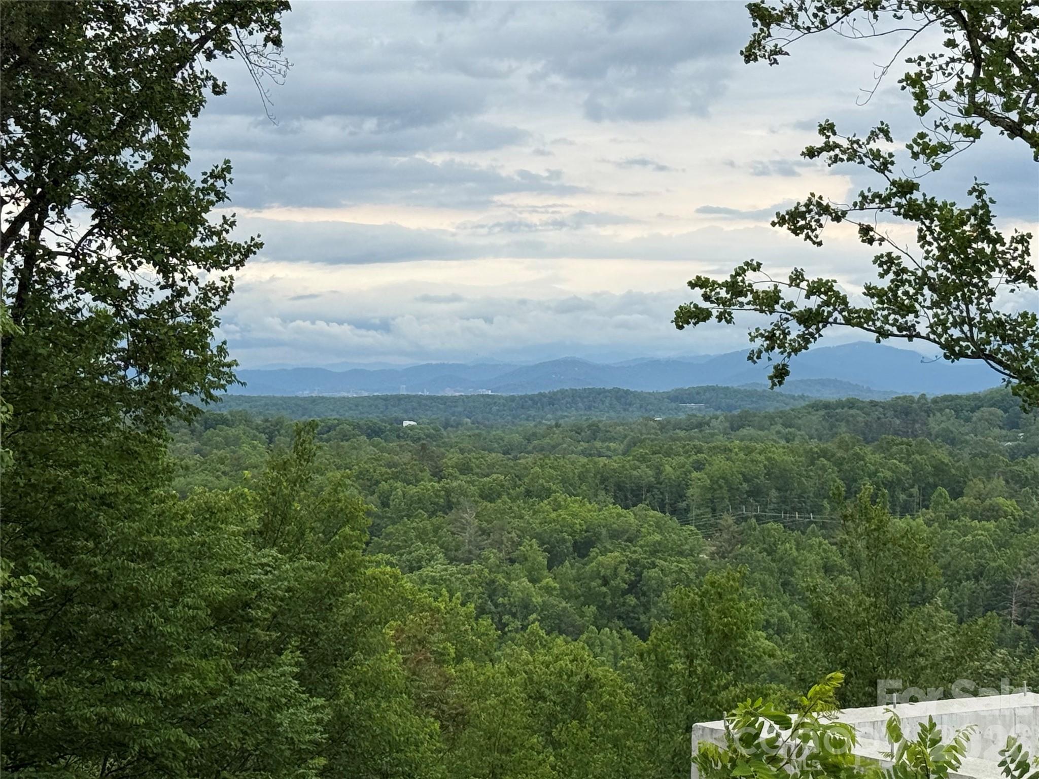 Lot at 16 Ridge Pine Trail, Arden, photo 3 of 15