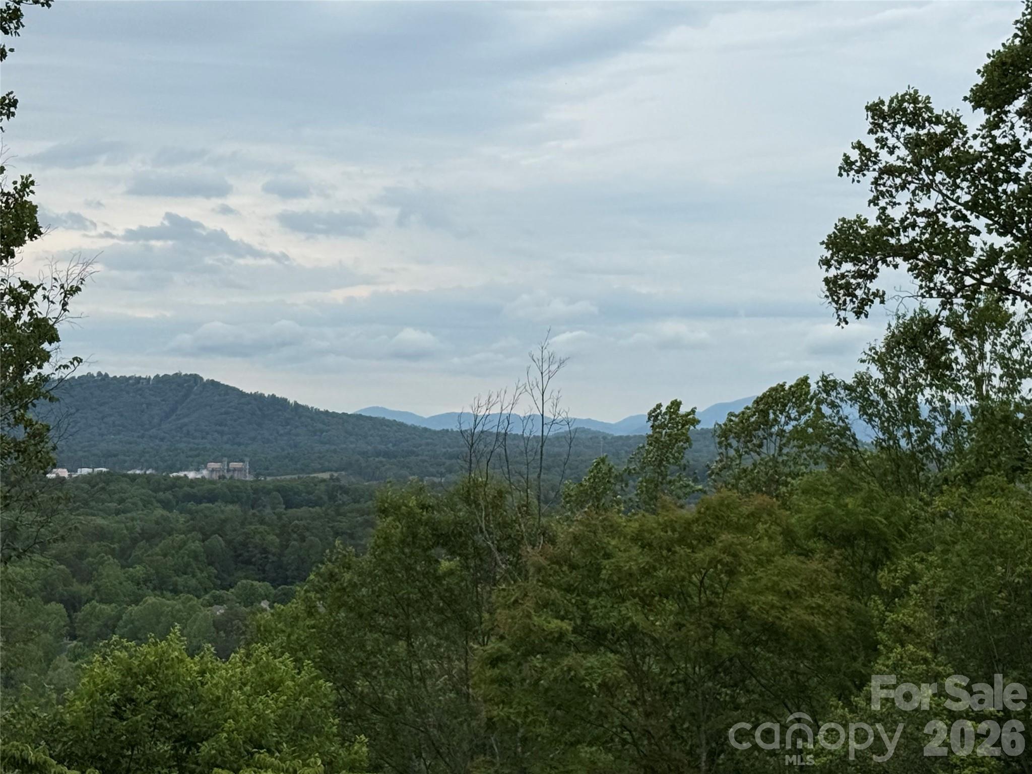 Lot at 16 Ridge Pine Trail, Arden, photo 6 of 15