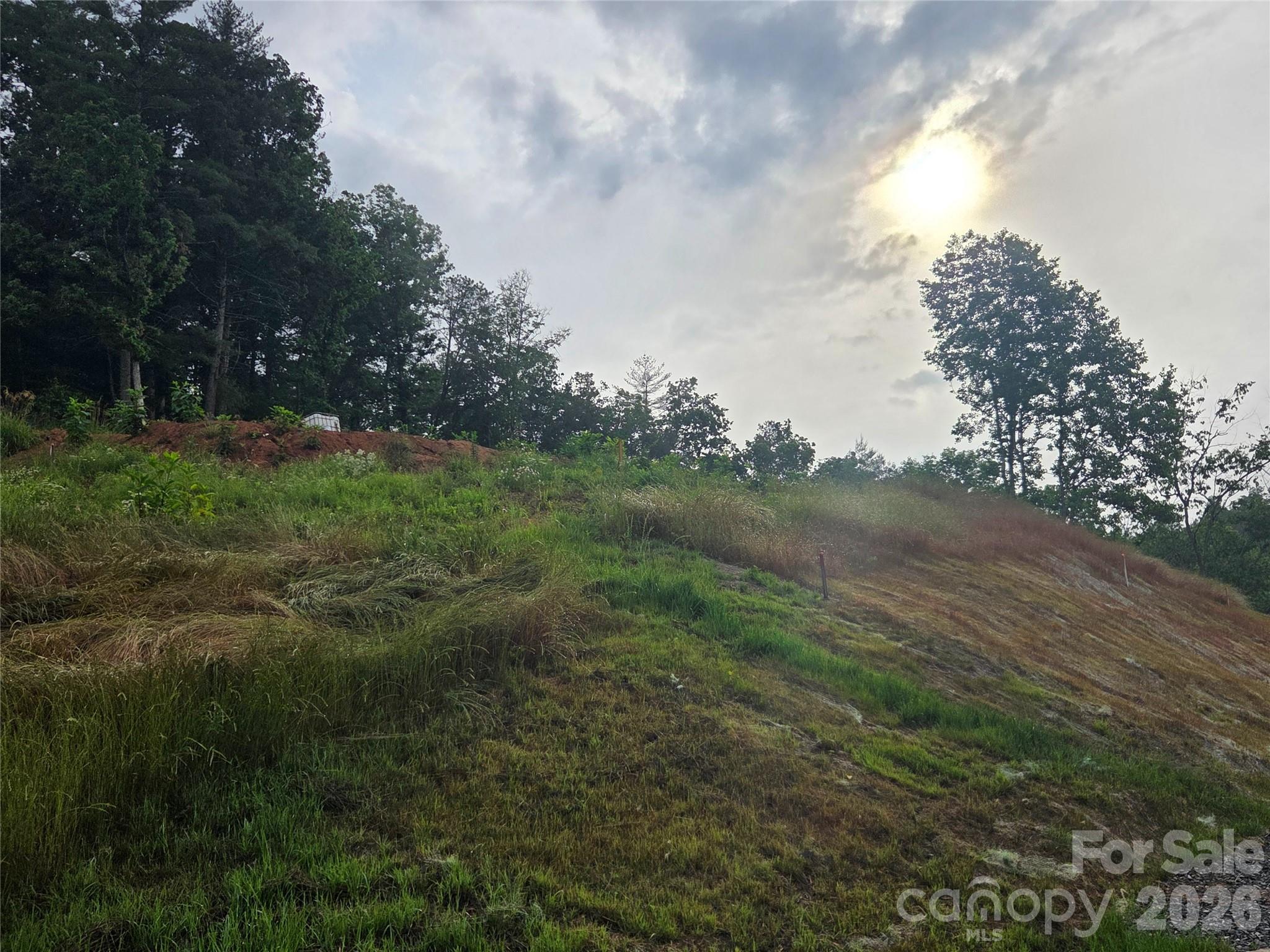 Lot at 248 Big Branch Drive, Mars Hill, photo 3 of 5