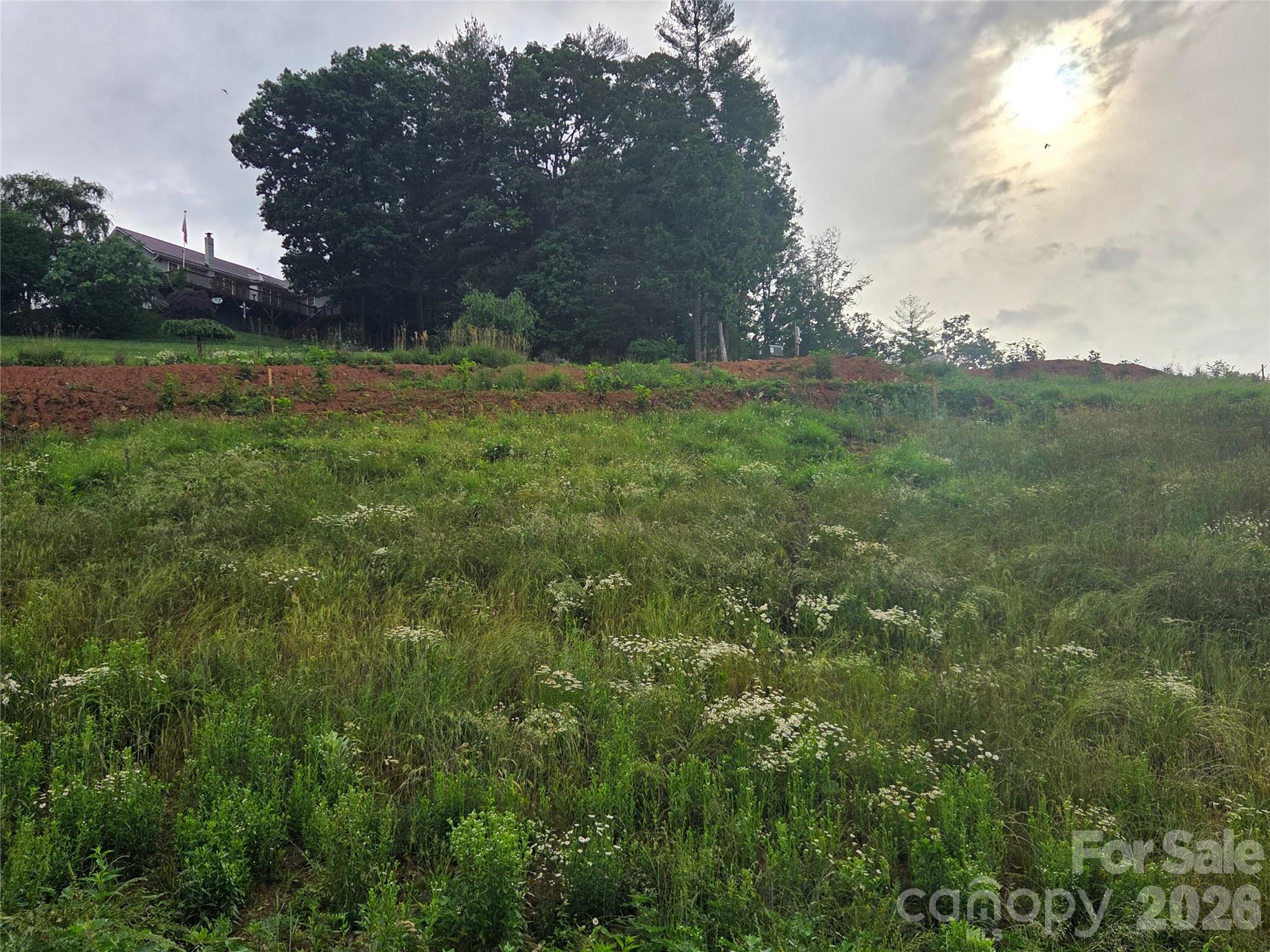 Lot at 248 Big Branch Drive, Mars Hill, photo 4 of 5