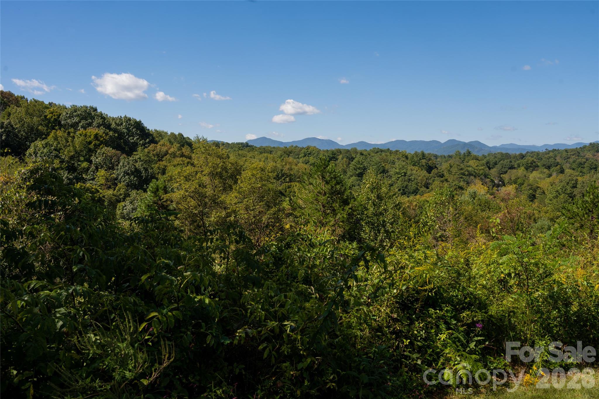 Beautiful setting tucked among the trees - 68 Sweet Fern Parkway, Asheville