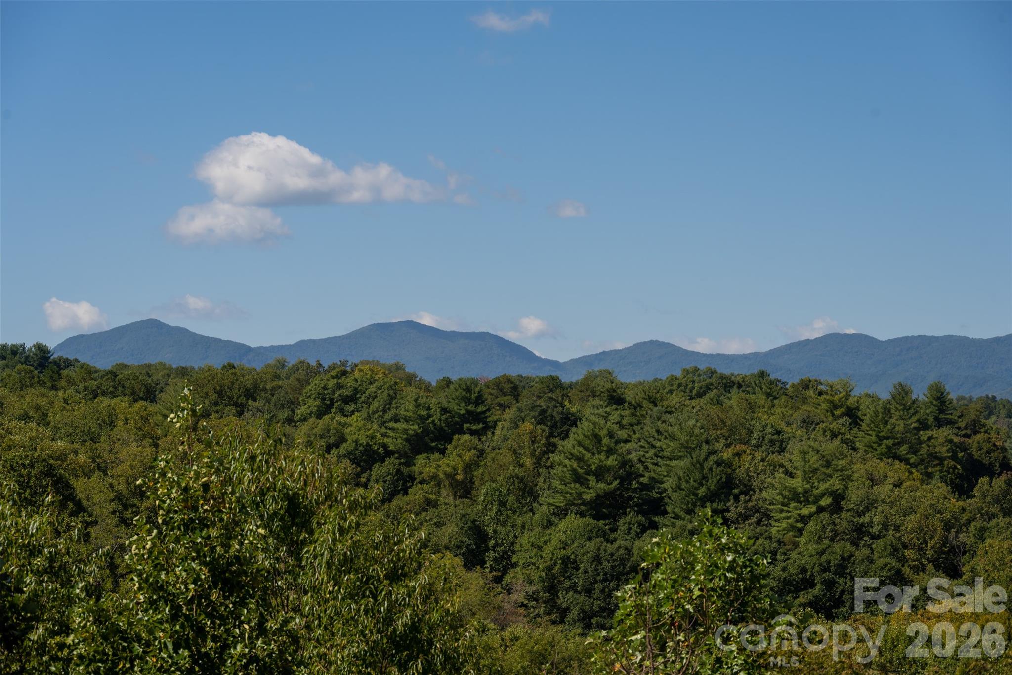 Gorgeous long distance mountain views! - 68 Sweet Fern Parkway, Asheville