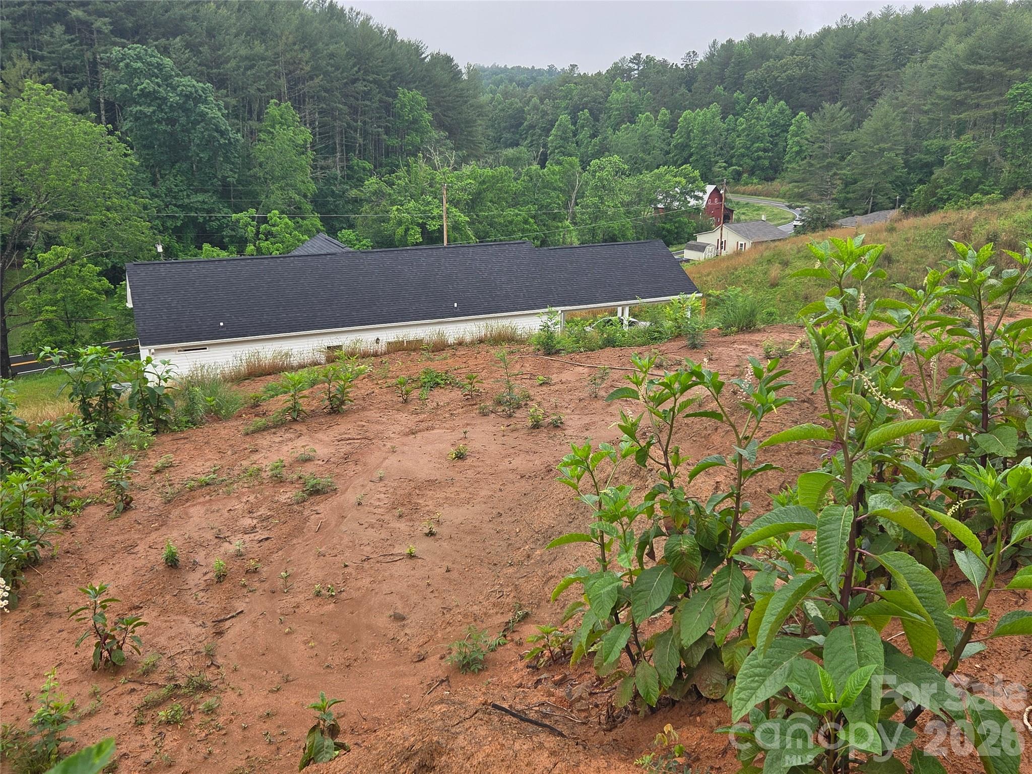Lot at 292 Big Branch Drive, Mars Hill, photo 3 of 5