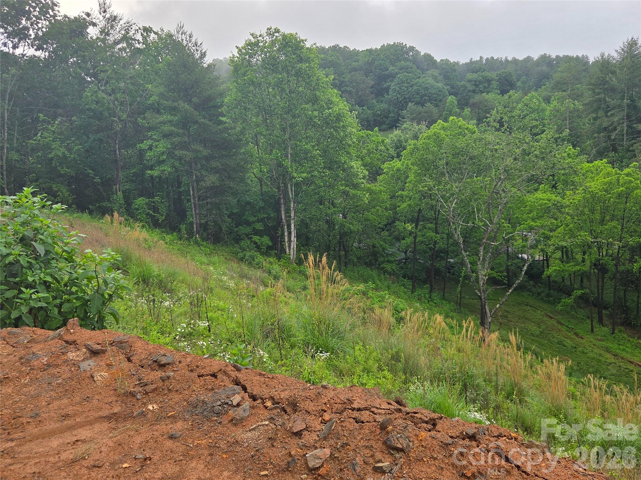 Lot at 374 Big Branch Drive, Mars Hill, photo 2 of 5