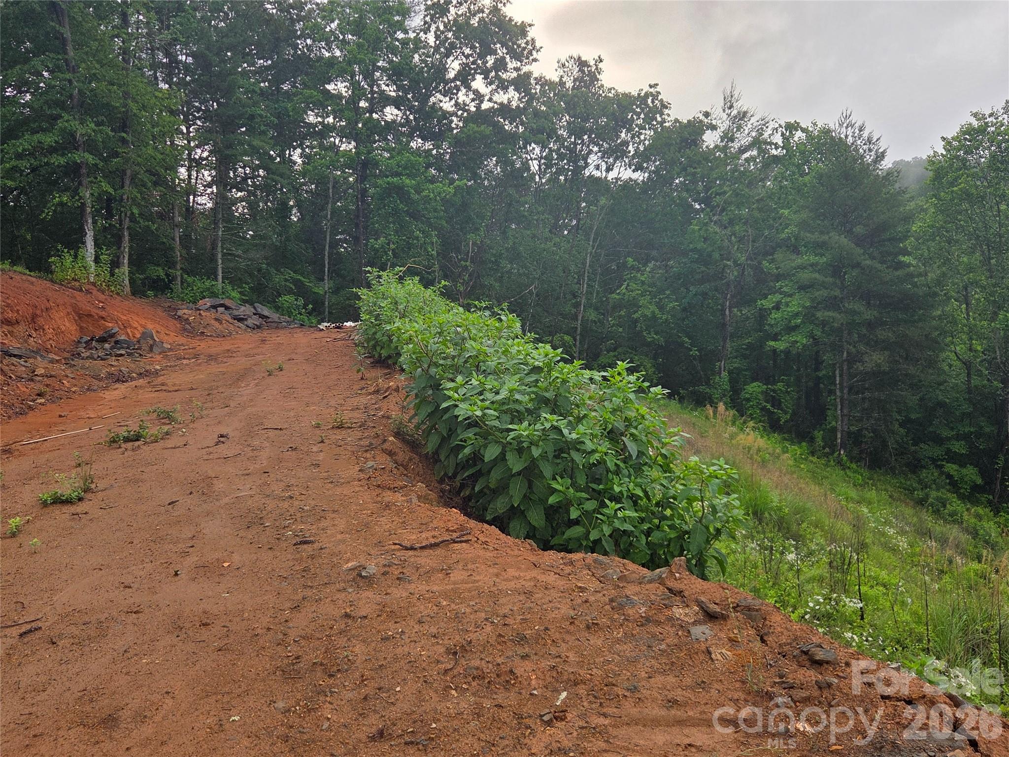 Lot at 374 Big Branch Drive, Mars Hill, photo 3 of 5