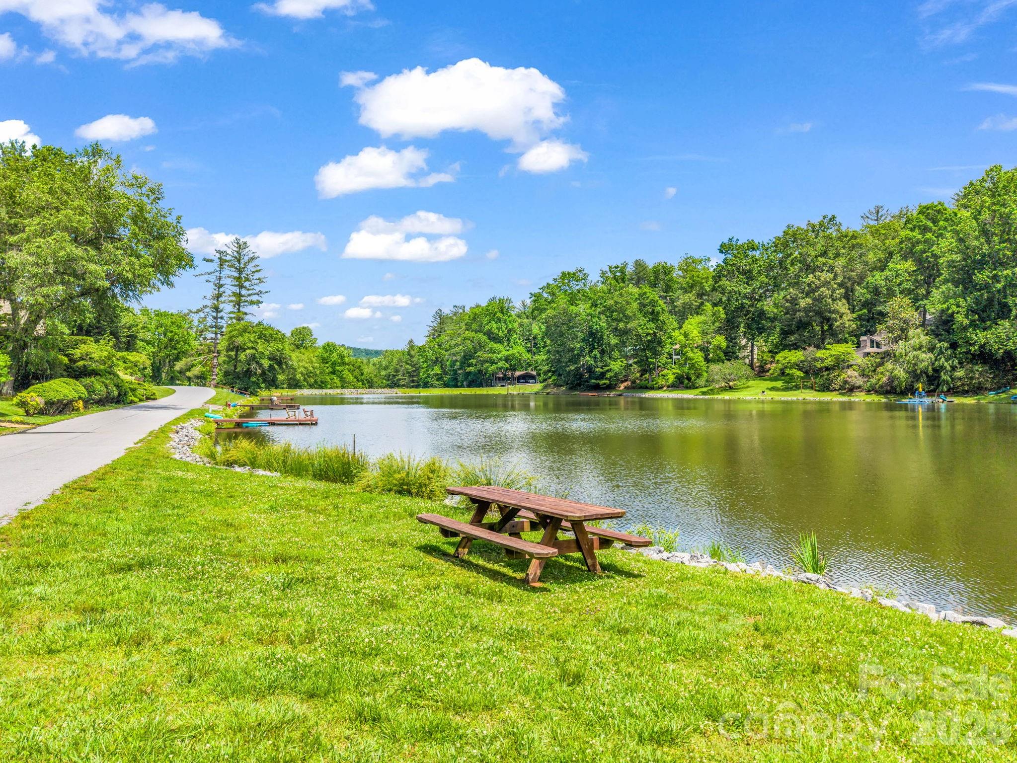 Picnic area, flat and walkable community - 117 Willow Way, Hendersonville