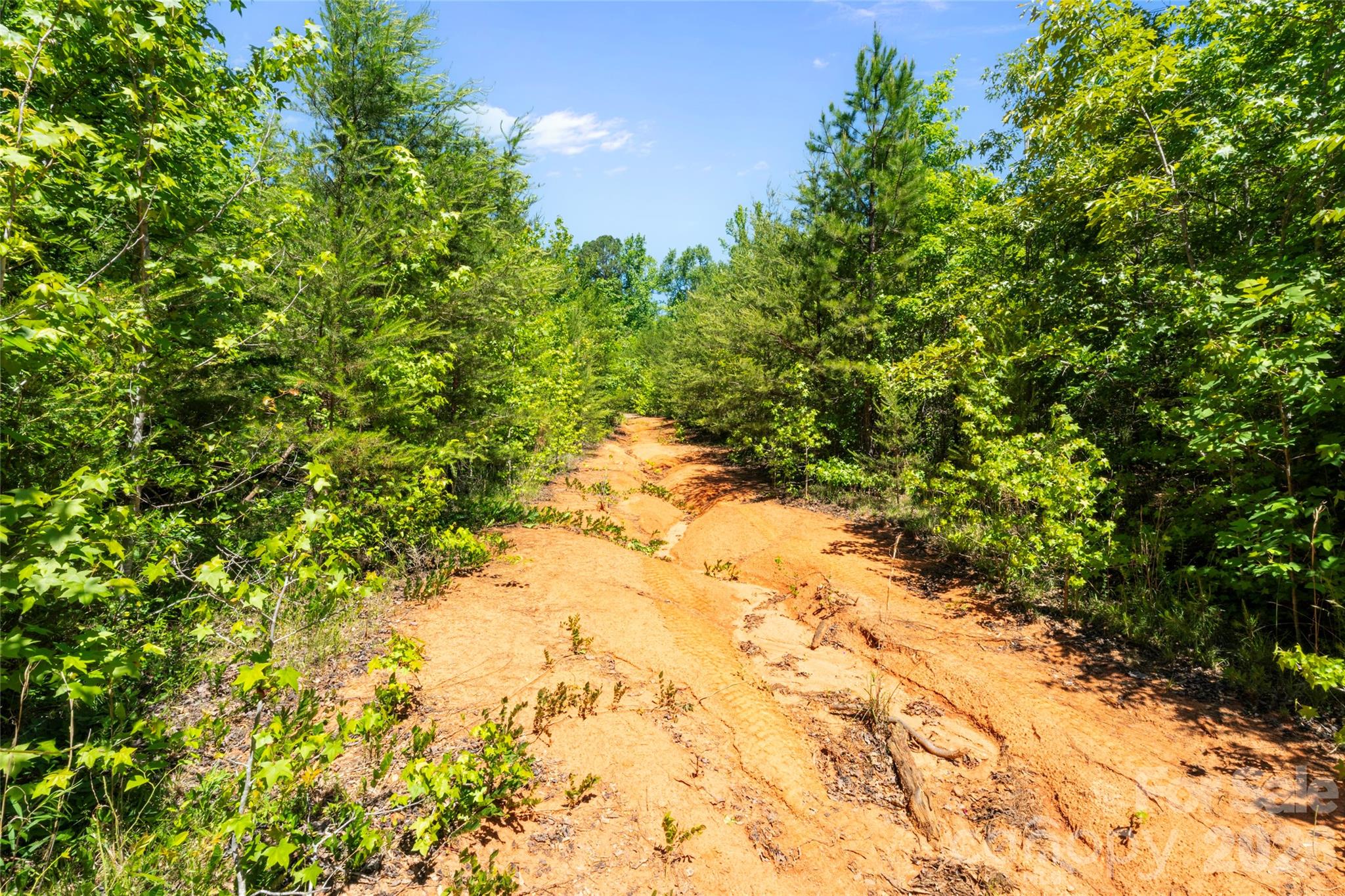 Acreage at 00 Falls Ferguson Road, Gastonia, photo 10 of 21