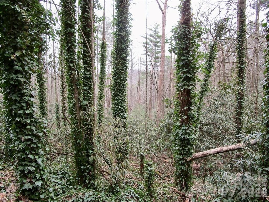 Lot at Lot #22 Toxaway Falls Drive, Lake Toxaway, photo 4 of 26