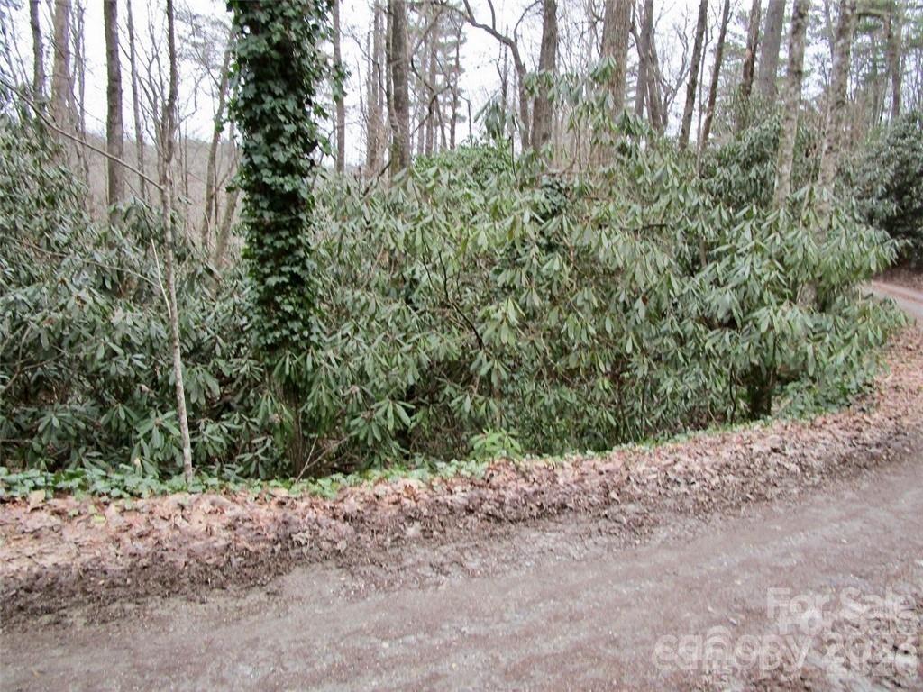 Lot at Lot #22 Toxaway Falls Drive, Lake Toxaway, photo 6 of 26
