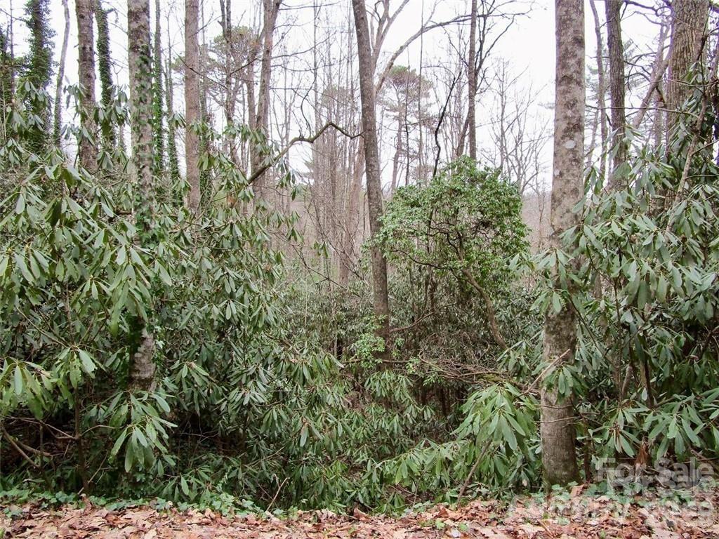 Lot at Lot #22 Toxaway Falls Drive, Lake Toxaway, photo 11 of 26