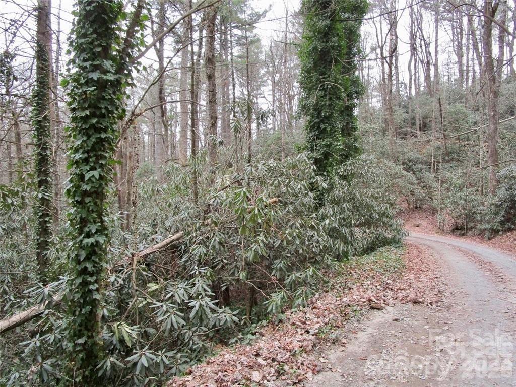 Lot at Lot #22 Toxaway Falls Drive, Lake Toxaway, photo 26 of 26