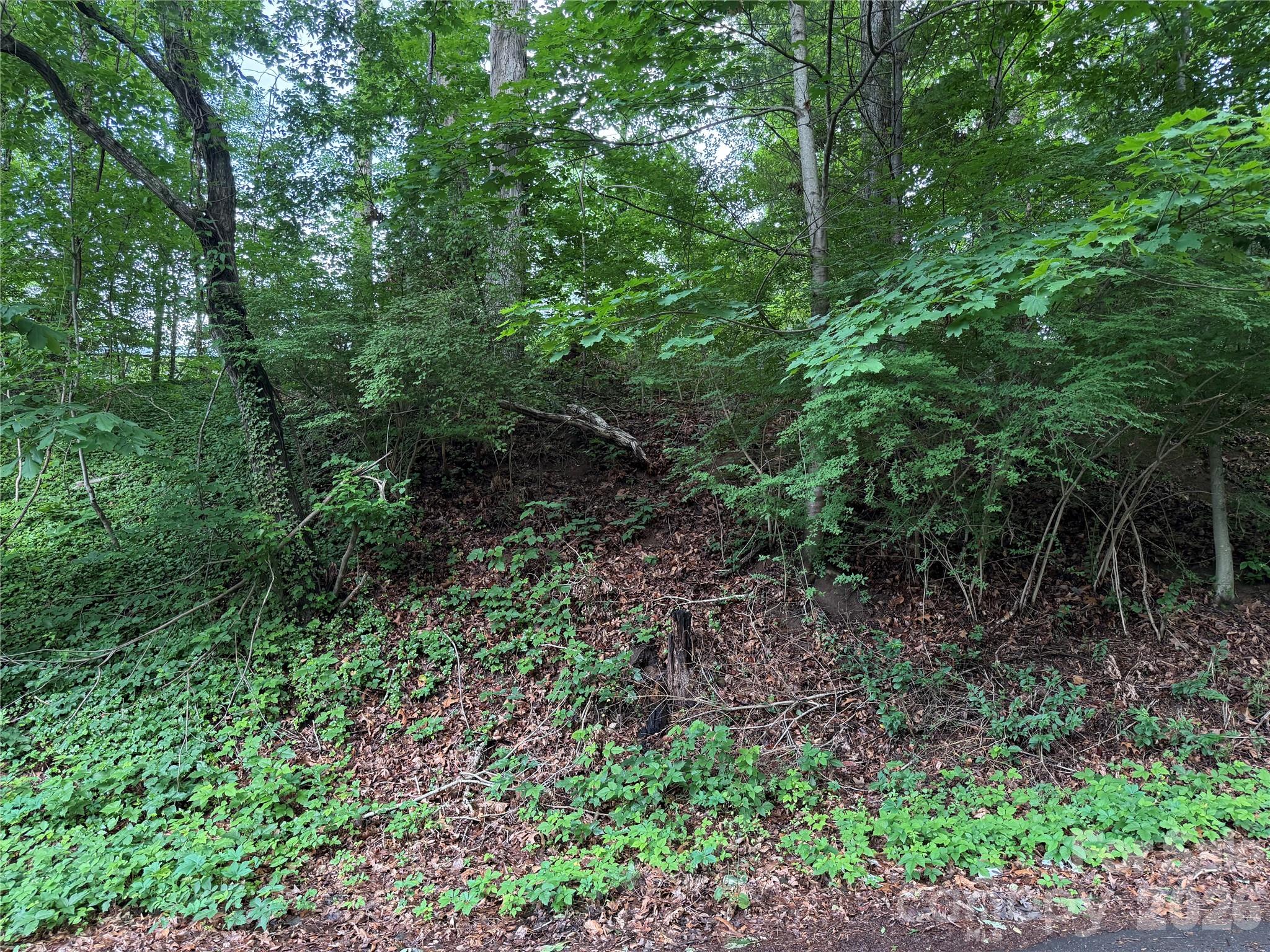 Lot at 89 Iris Street, Asheville, photo 2 of 4