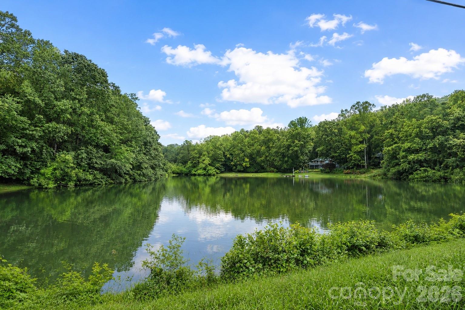 A lovely serene lake to enjoy - a delightful community amenity! - 4 Beechwood Lakes Drive, Hendersonville
