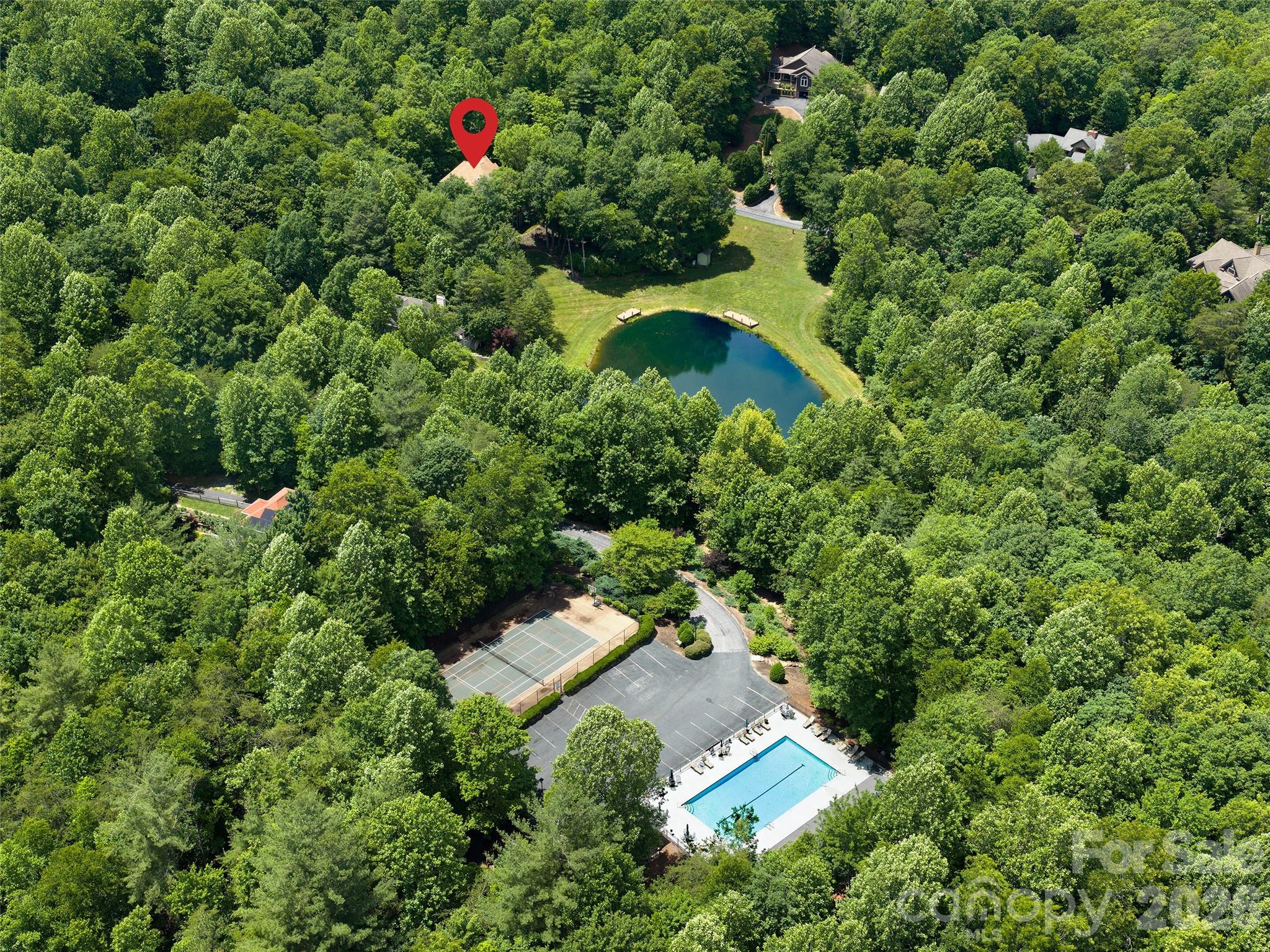 Aerial view of pool, sports courts, & community pond - 48 Smokemont Drive, Arden